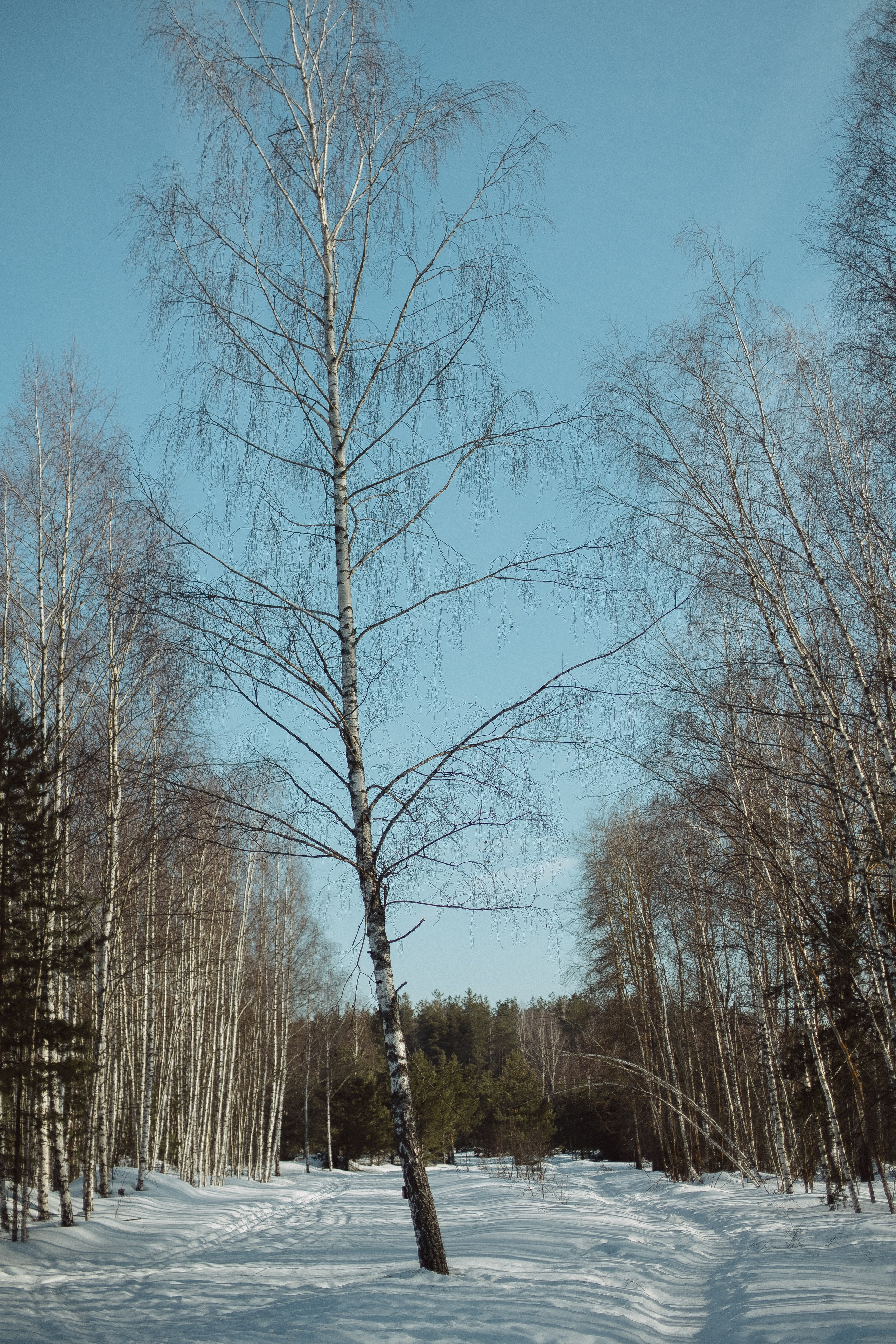 Экопарк ПОЛЯНЫ. Главная