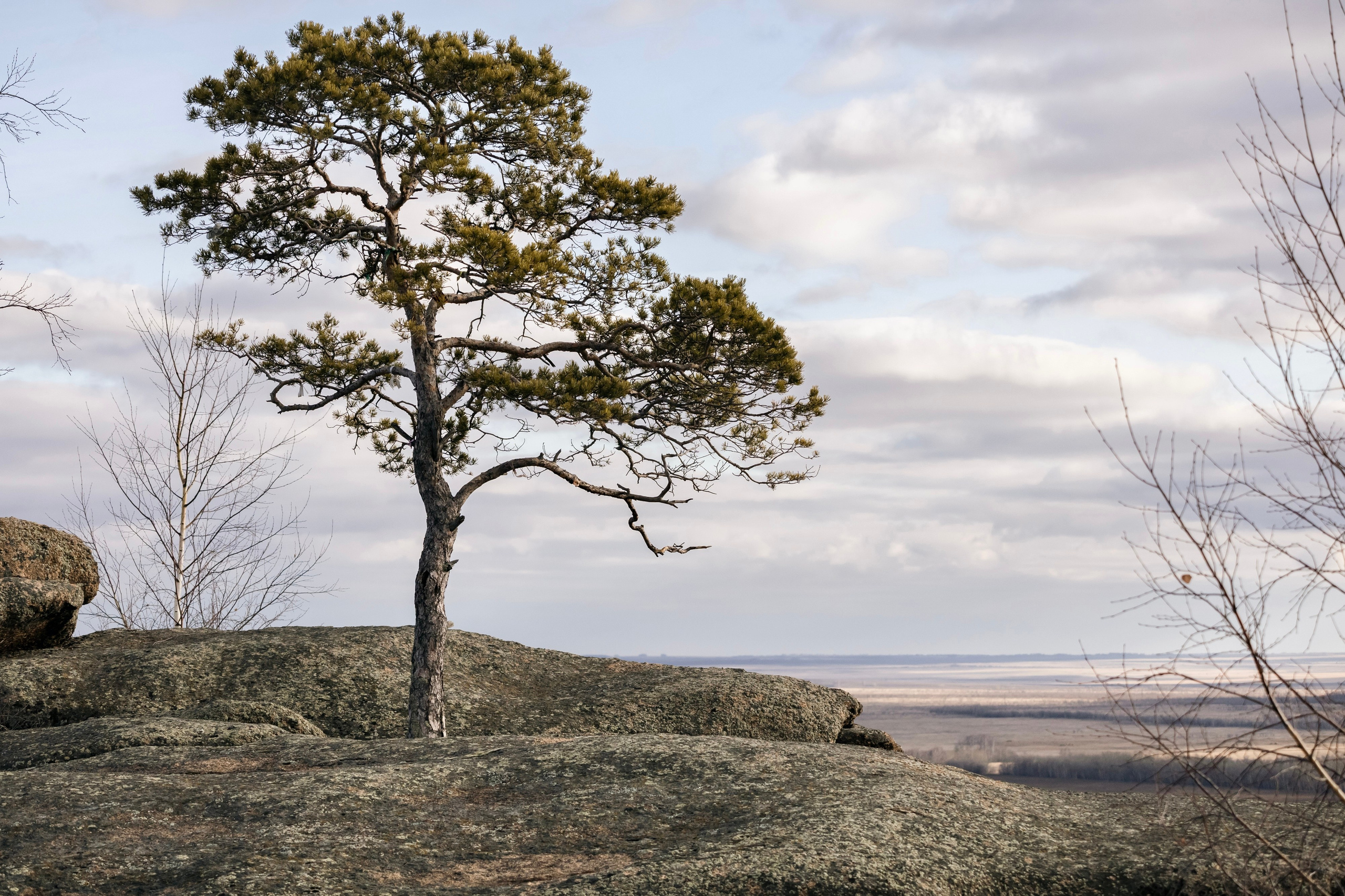 СТРИТ И ПРИРОДА. Репортажный фотограф Наталья Лапцевич