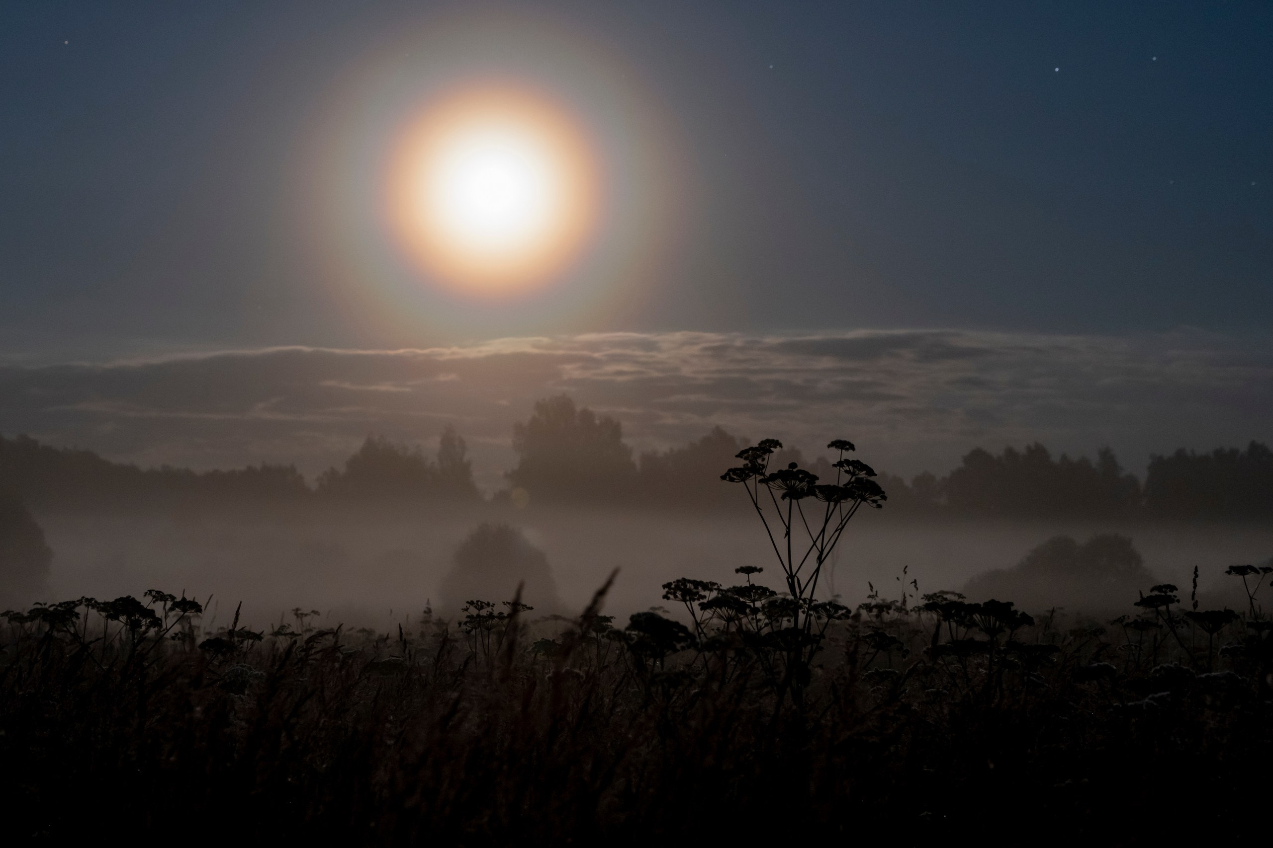 Пейзажный фотограф, Фотографии дикой природы. Foto-Zuev фотография как искусство