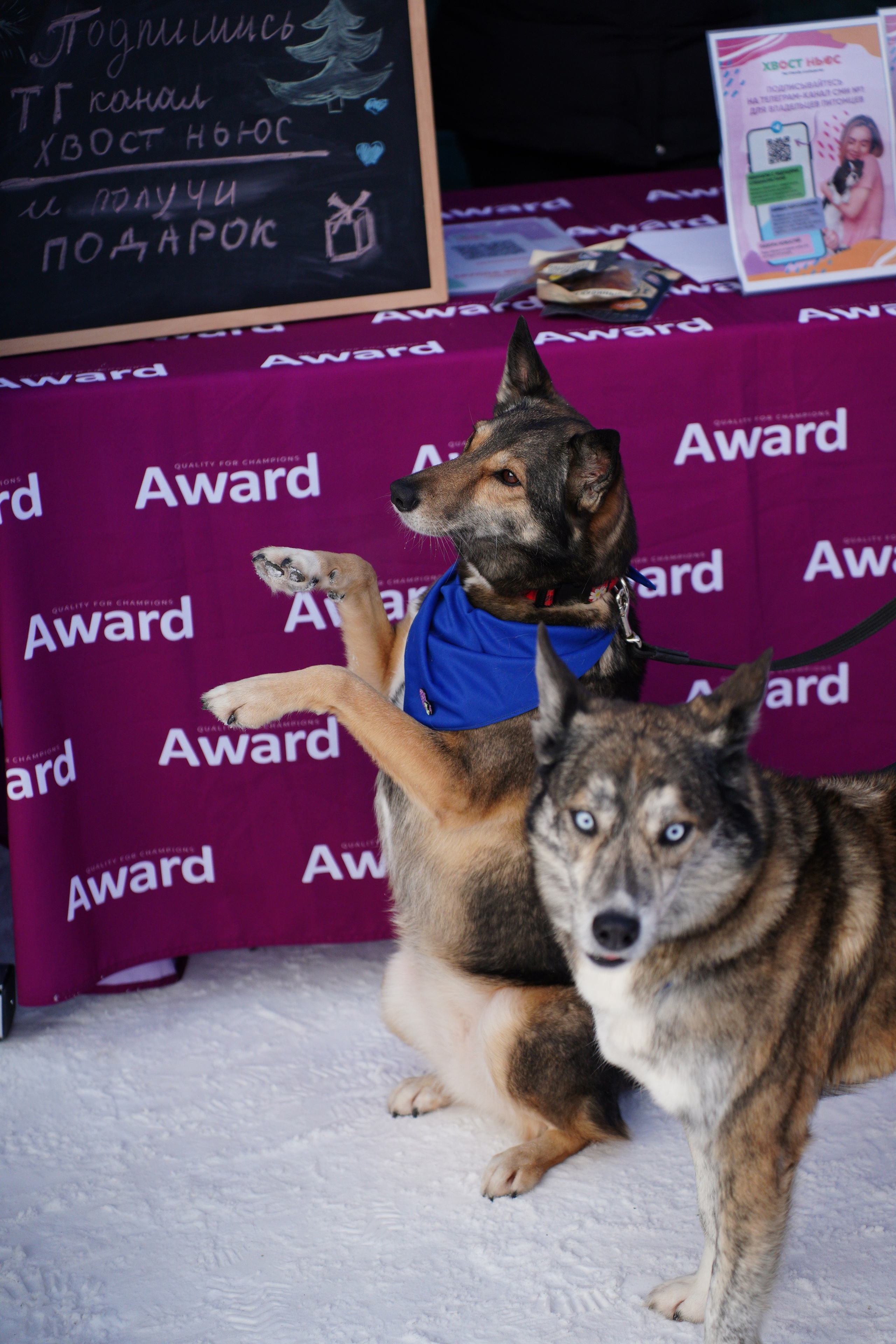 Благотворительная Акция «Ищу Человека». Pupov.png