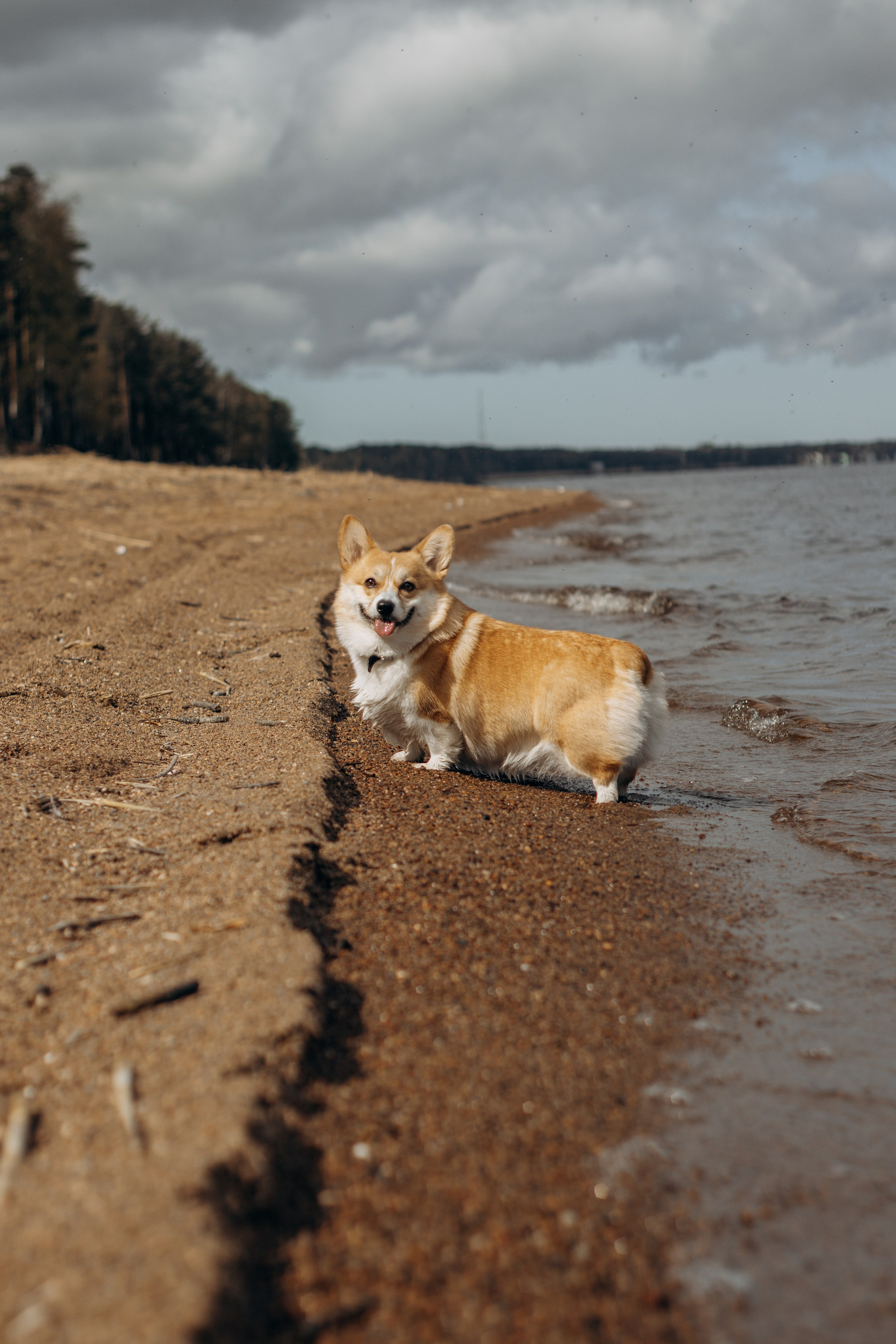 Наташа и крошка Бу. Фотограф-анималист в Санкт-Петербурге