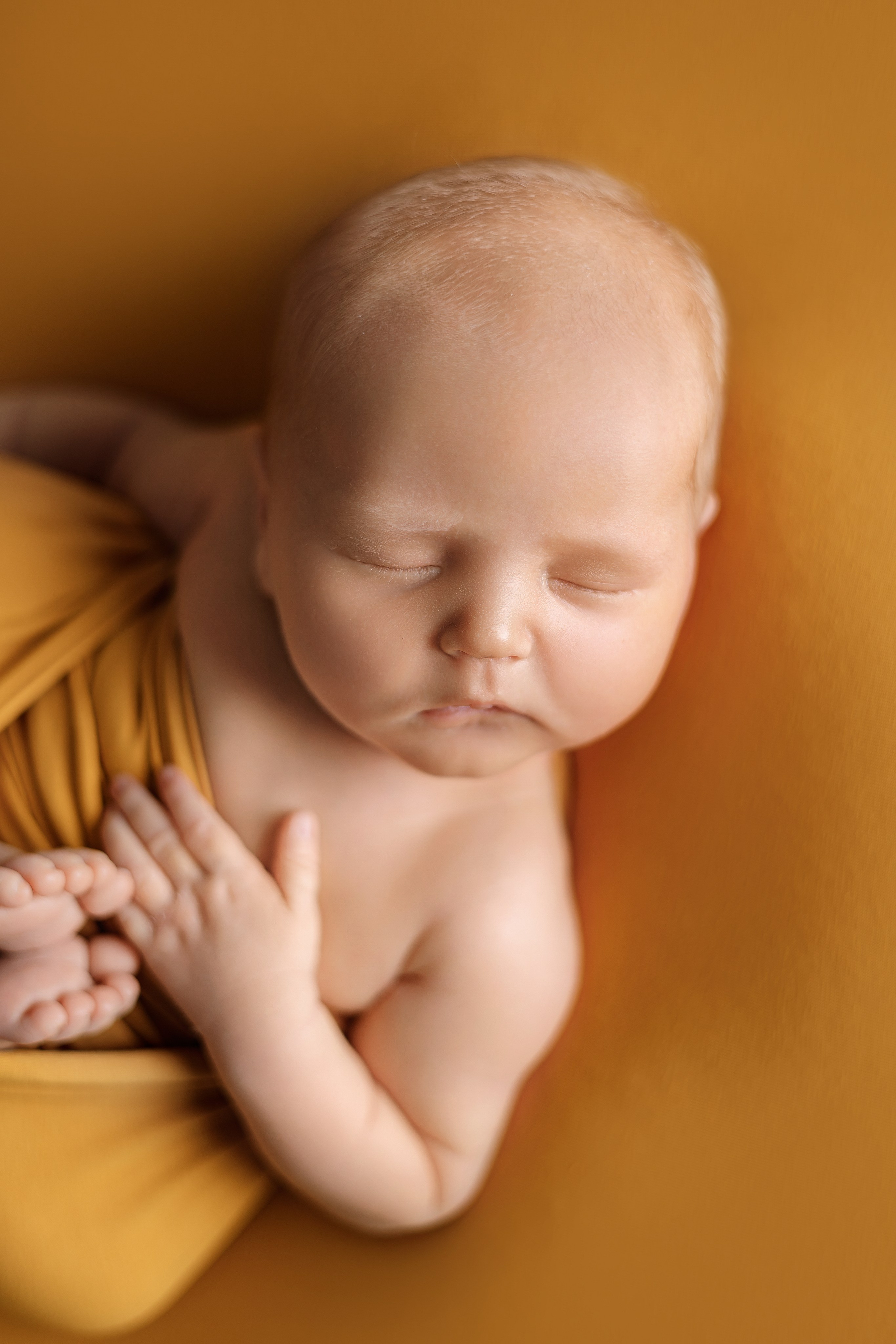 Максим. Евгения Горбунова фотограф новорожденных в Новом Уренгое