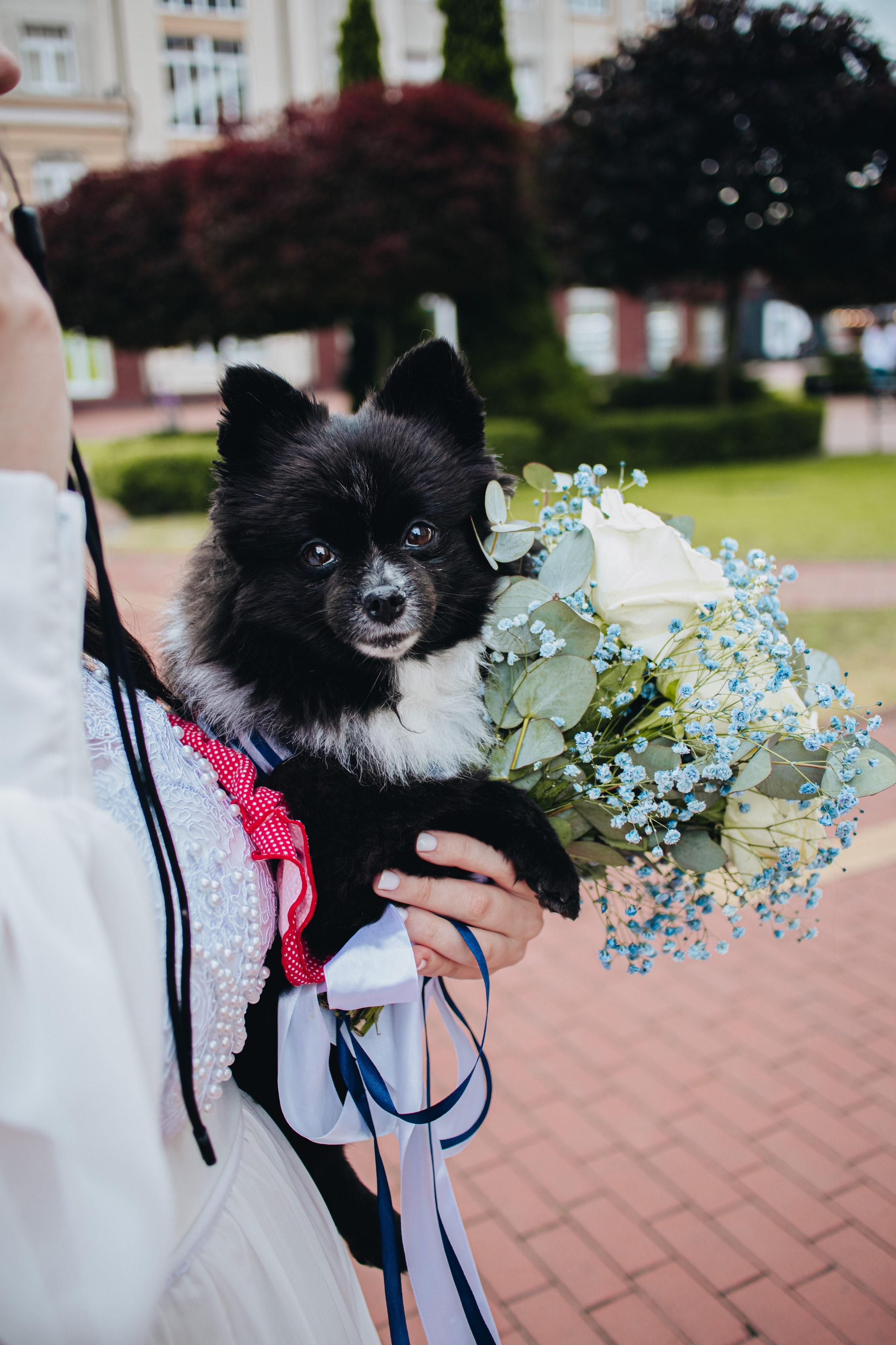 Свадьба. Катерина и Алексей. KRIS KRUPINNIKOVA