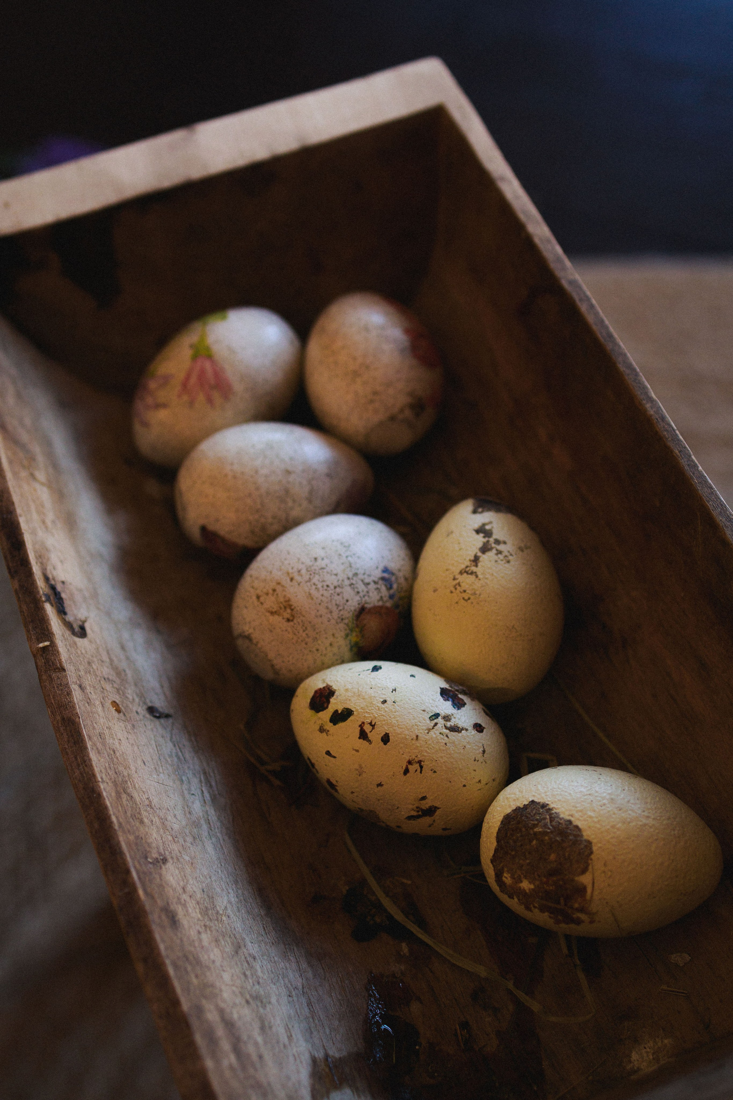 Фотосессия с утятами. Семейный видеограф в Москве Элина Ладова