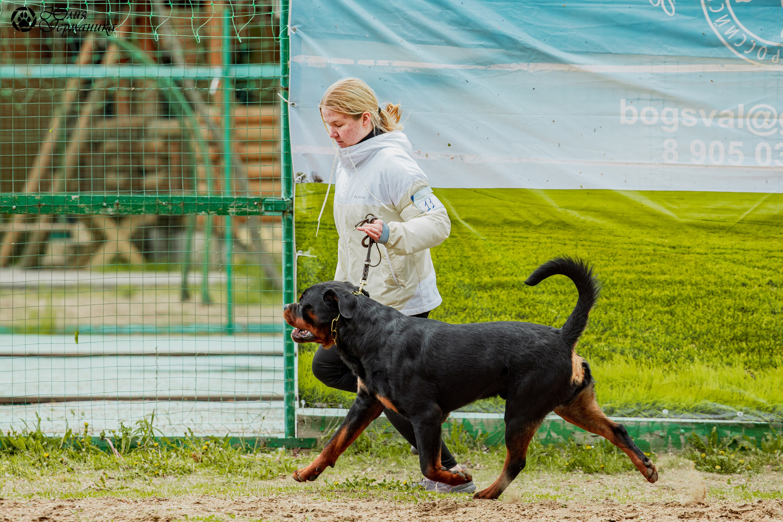 Саратов моно ротвейлеров 26-27.04.2025. Фотограф-анималист Юлия Германика