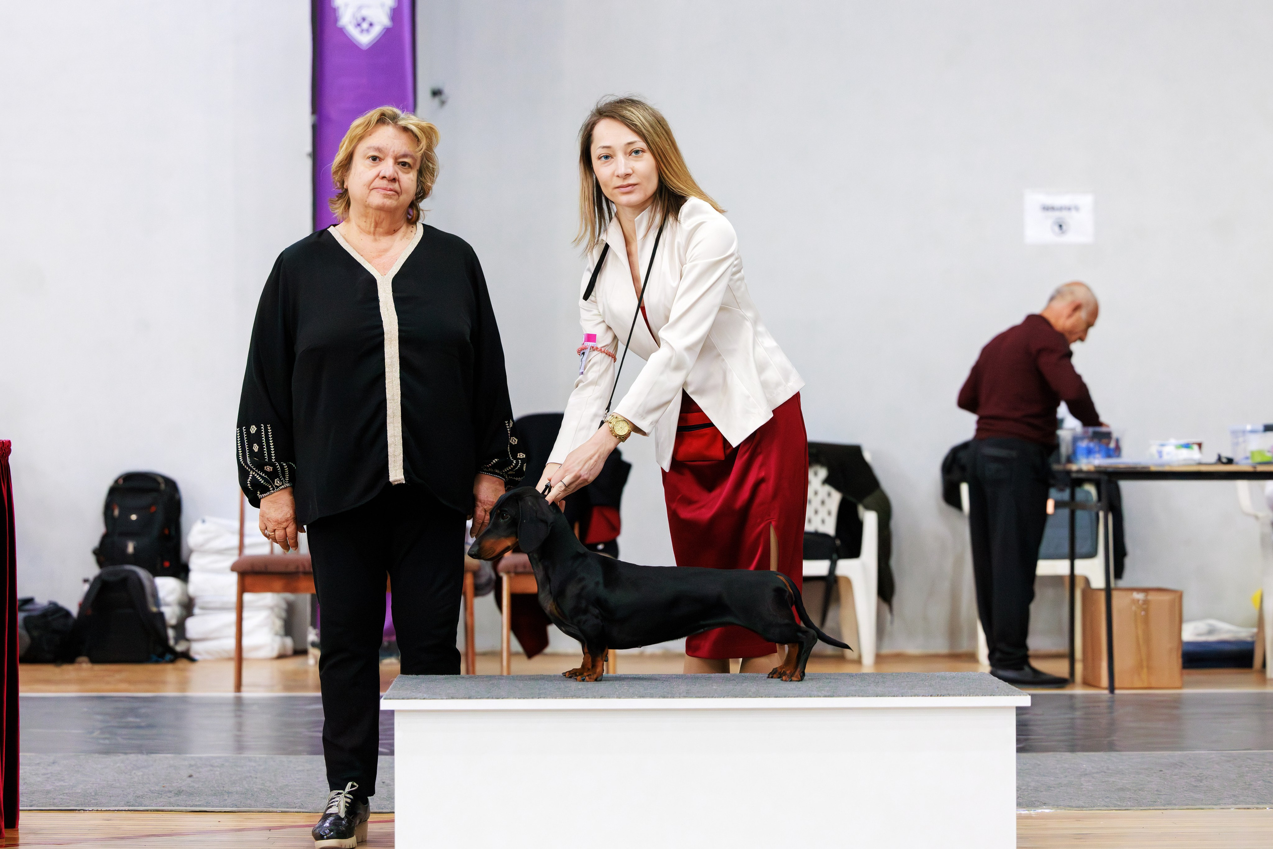 Ереван 2х CACIB 29-30.04.2025. Фотограф-анималист Юлия Германика