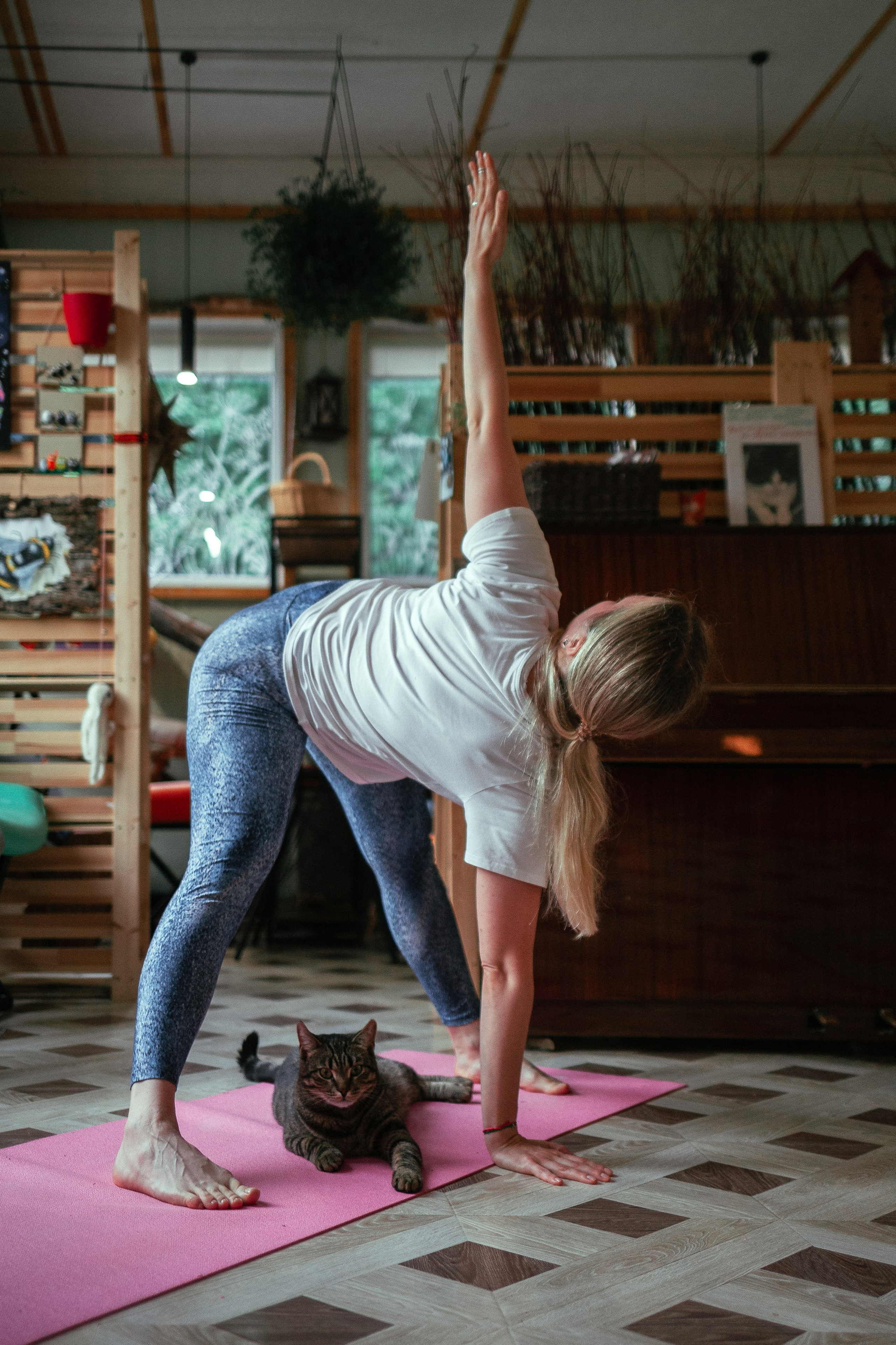 Котокафе Тушино