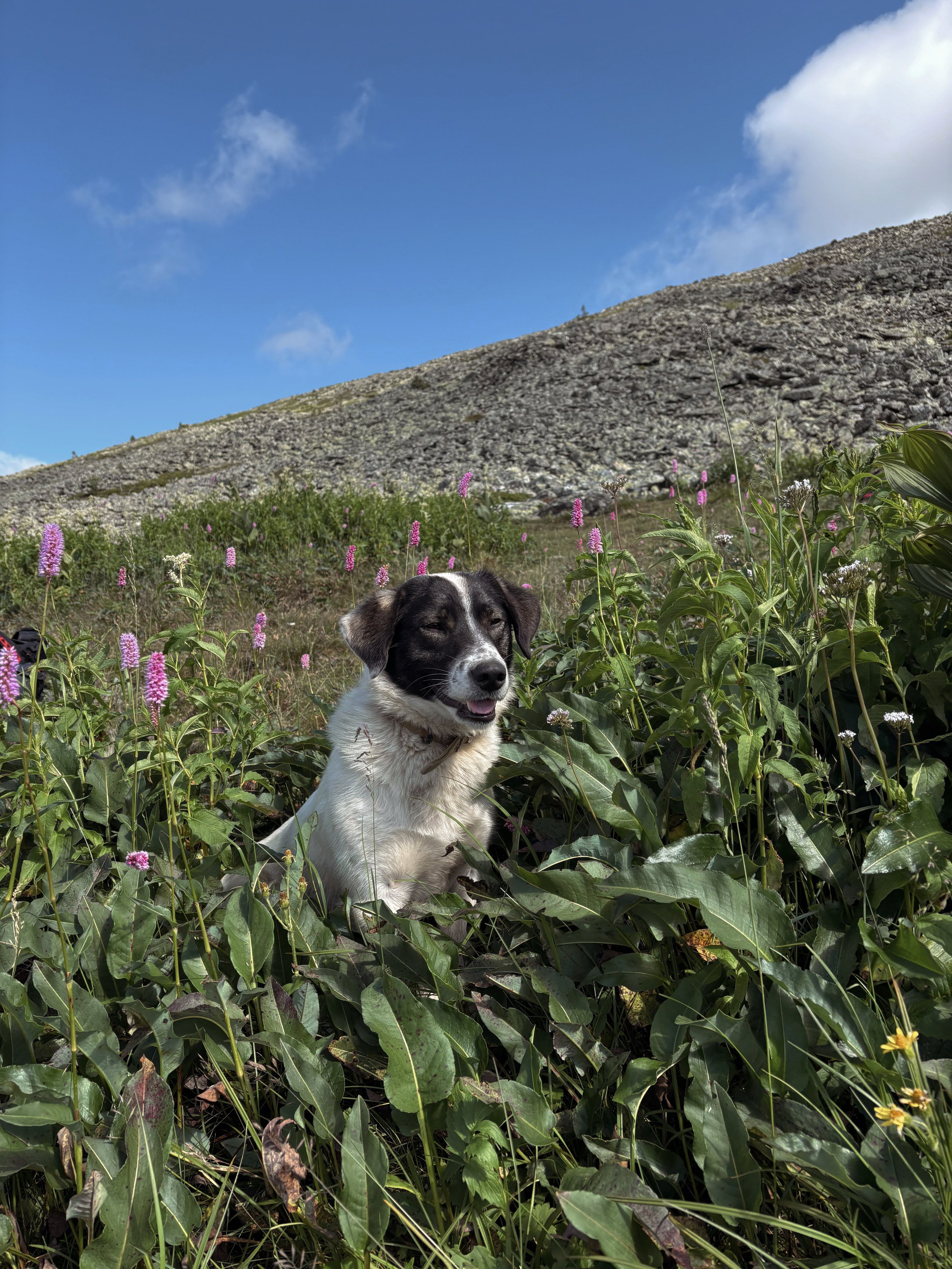 Фот с походов на Иремель — Время приключений