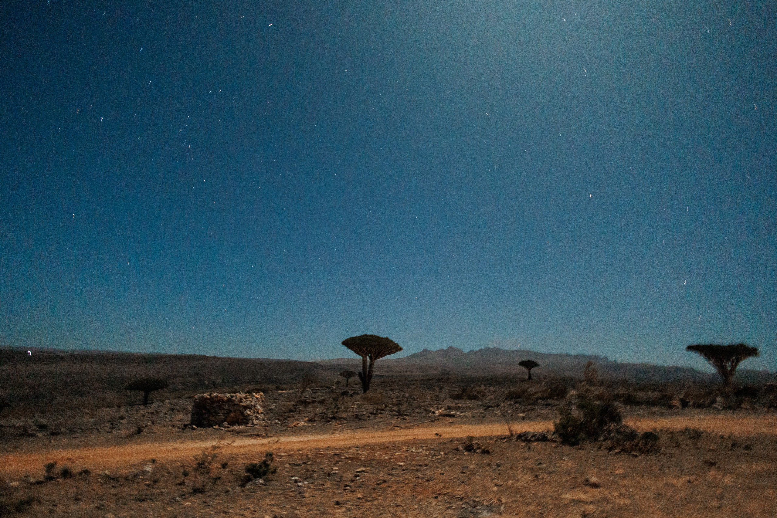 Socotra