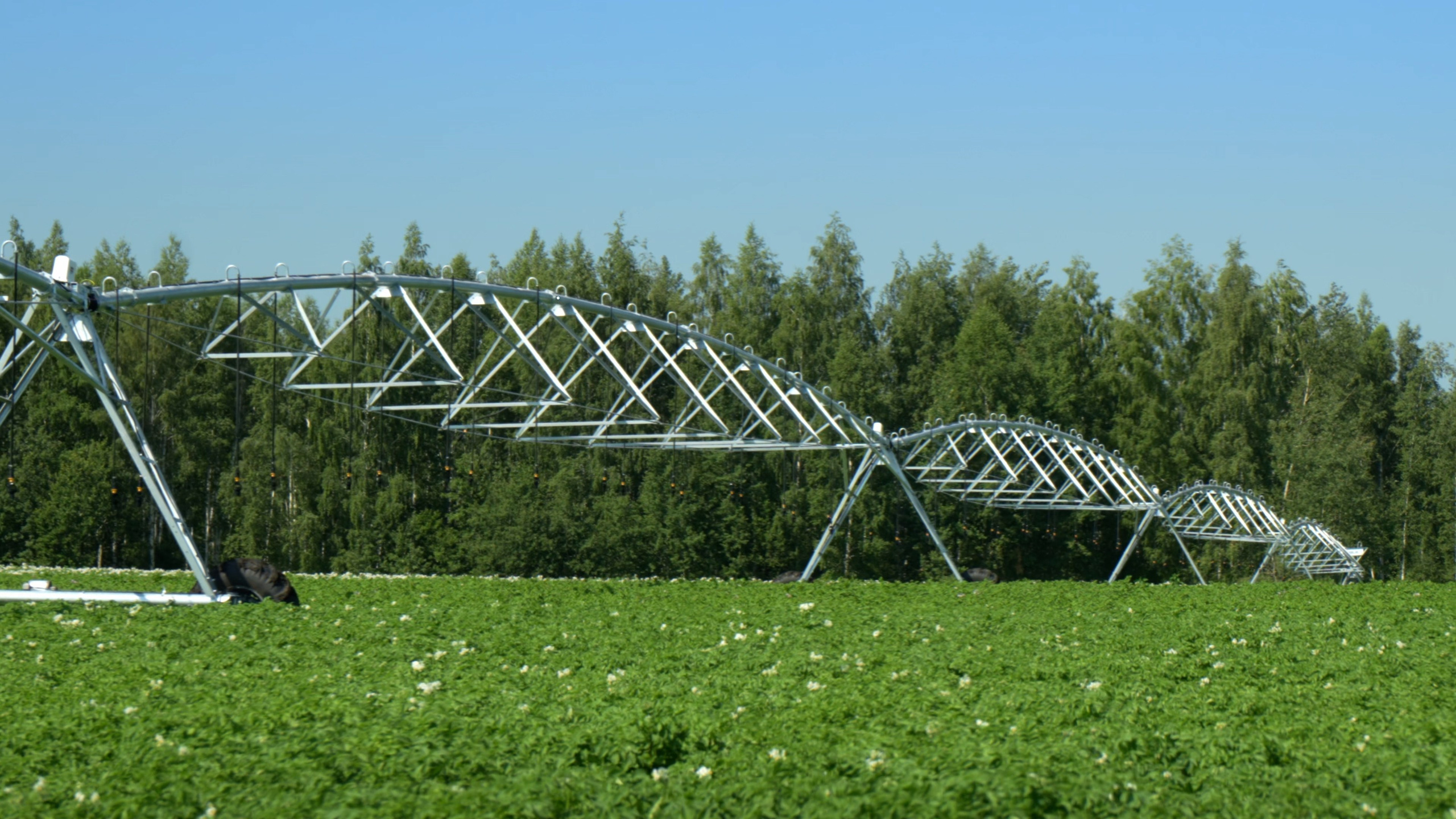 Koblik group. Фотограф и видеограф Максим Карпов Воронеж