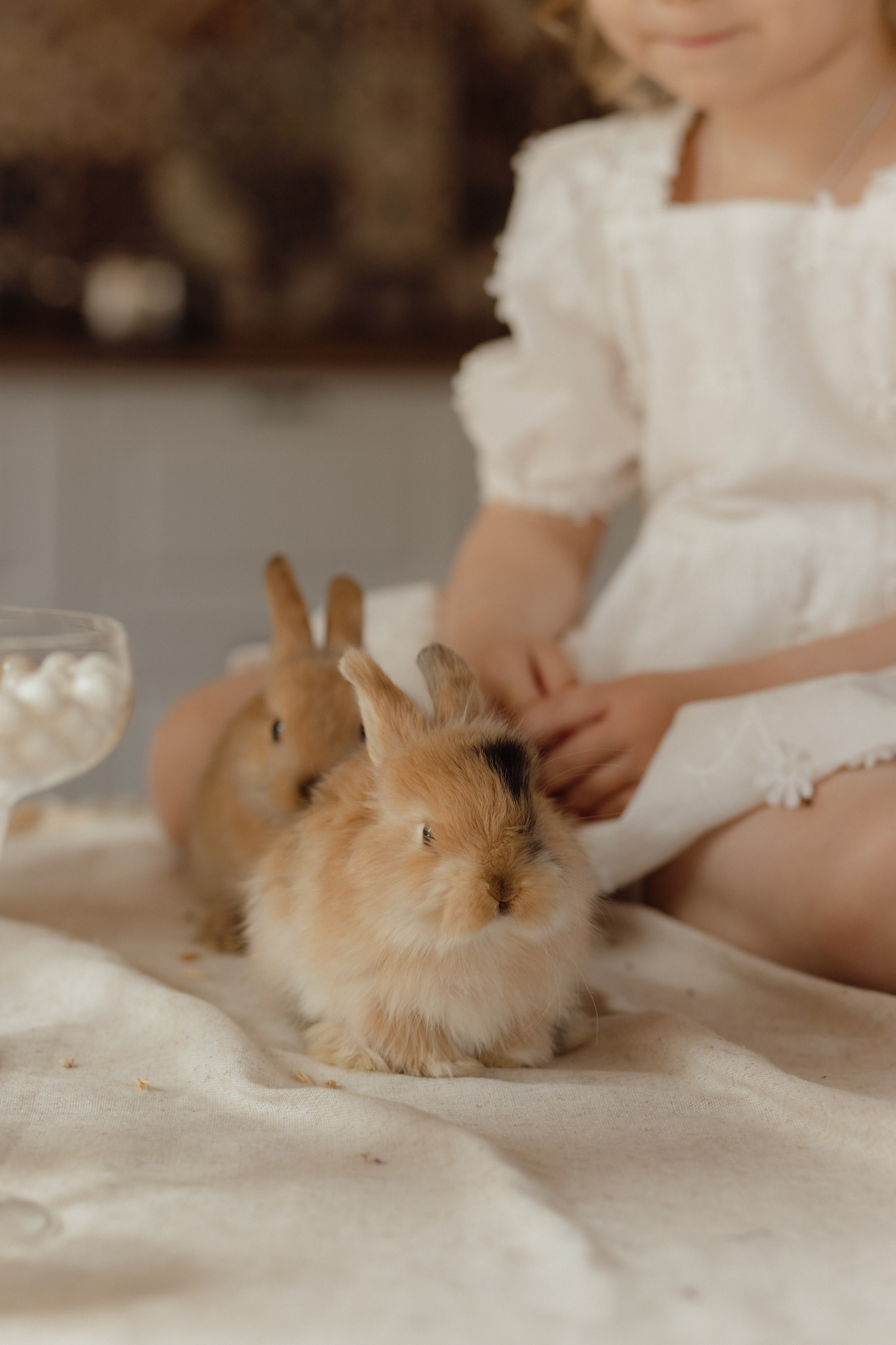 Варвара. Семейный и свадебный фотограф в Челябинске Мария Леонтьева