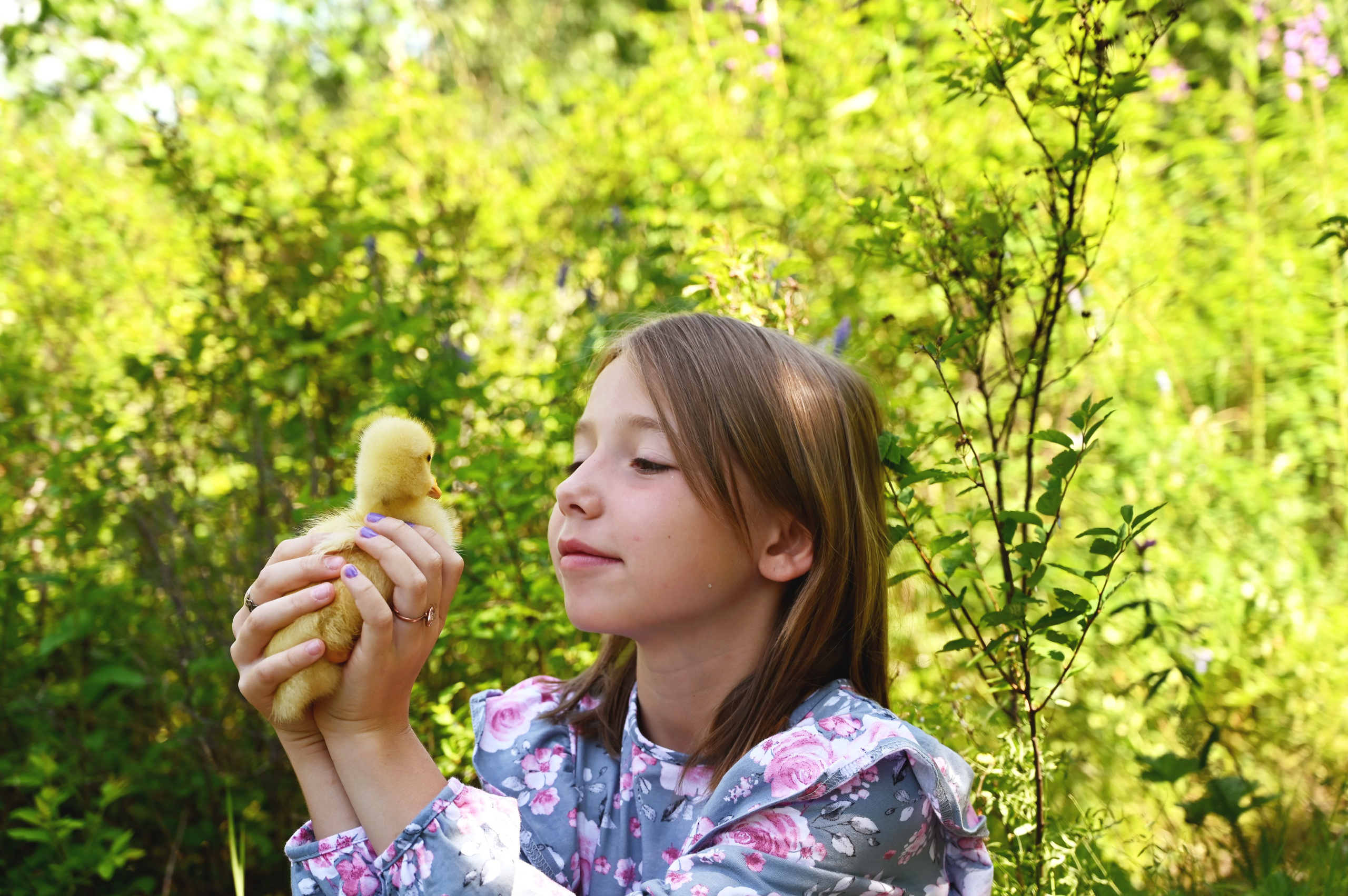 Дети и гусята. Семейный и детский фотограф в Хакасии
