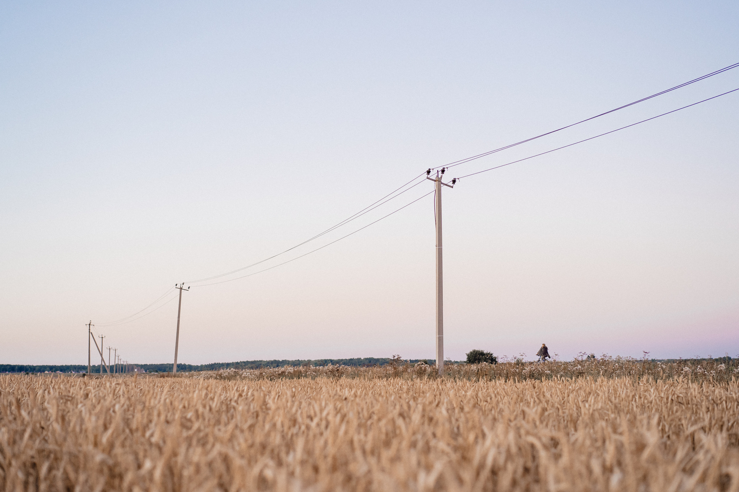 Любовь колосится. Семейный фотограф в Санкт-Петербурге Виталия Белова