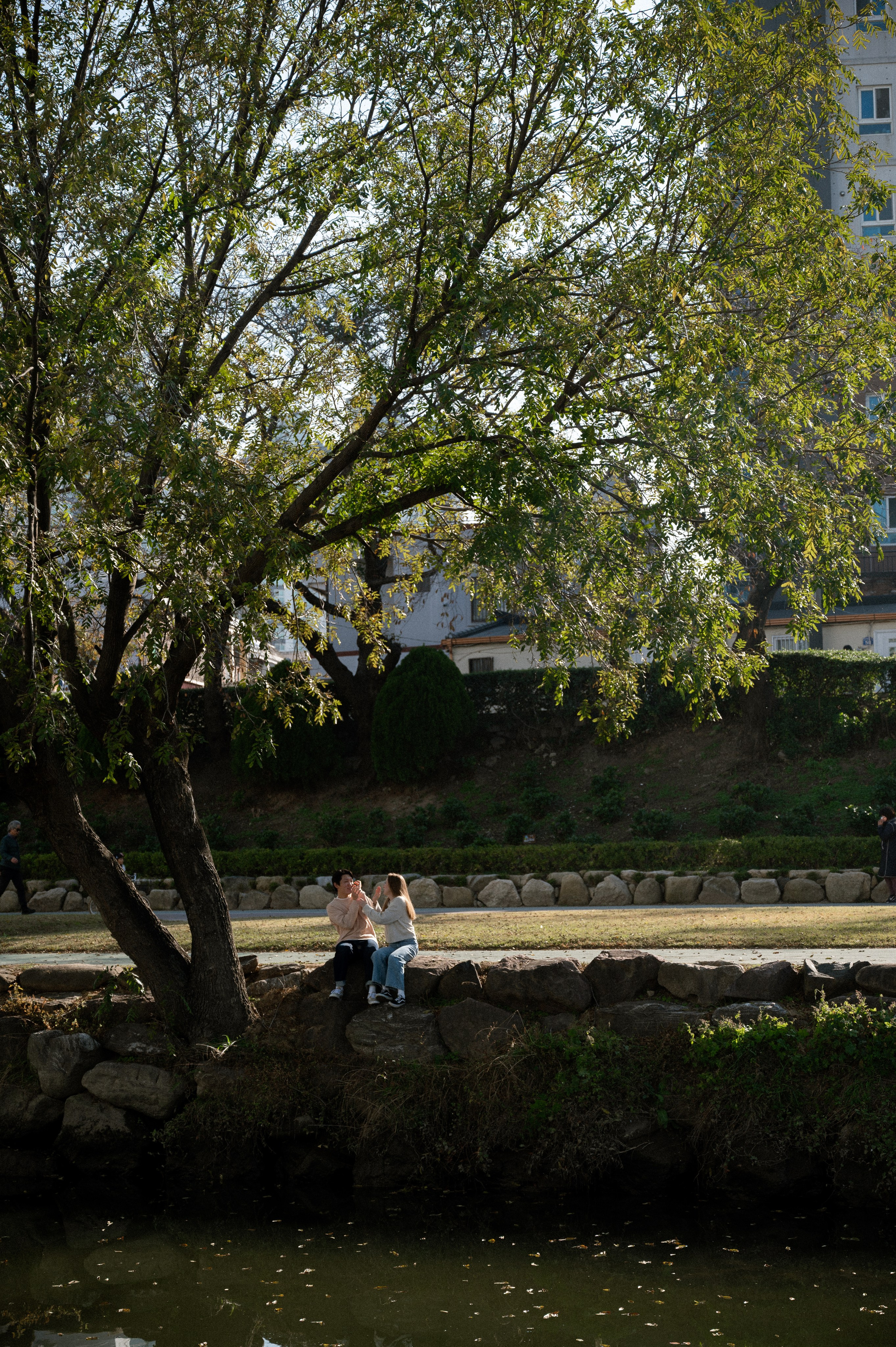 Love story for Anastasia. Busan photographer | Фотограф Пусан