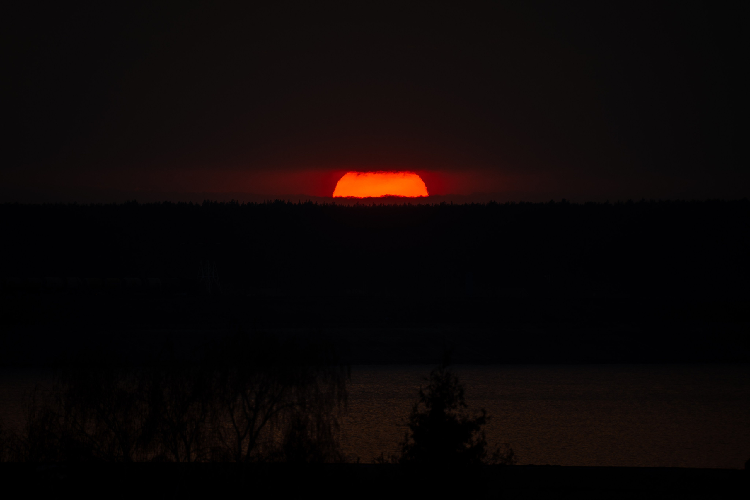 ЦВЕТНЫЕ ФОТОГРАФИИ. Никита Аничкин фото и видео оператор из России