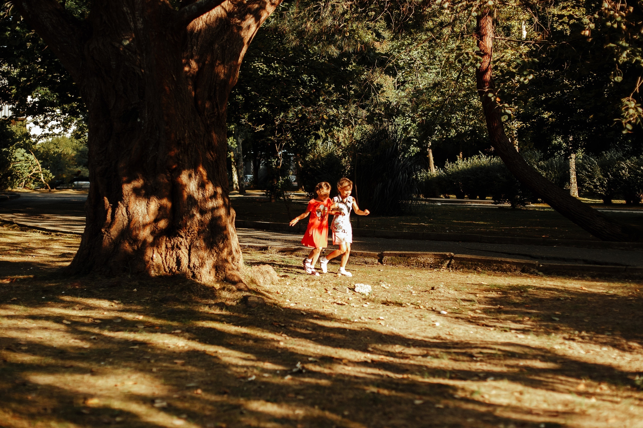 Место для съемки. Милана Довгаль - семейный фотограф и видеограф  в Адлере и Сочи