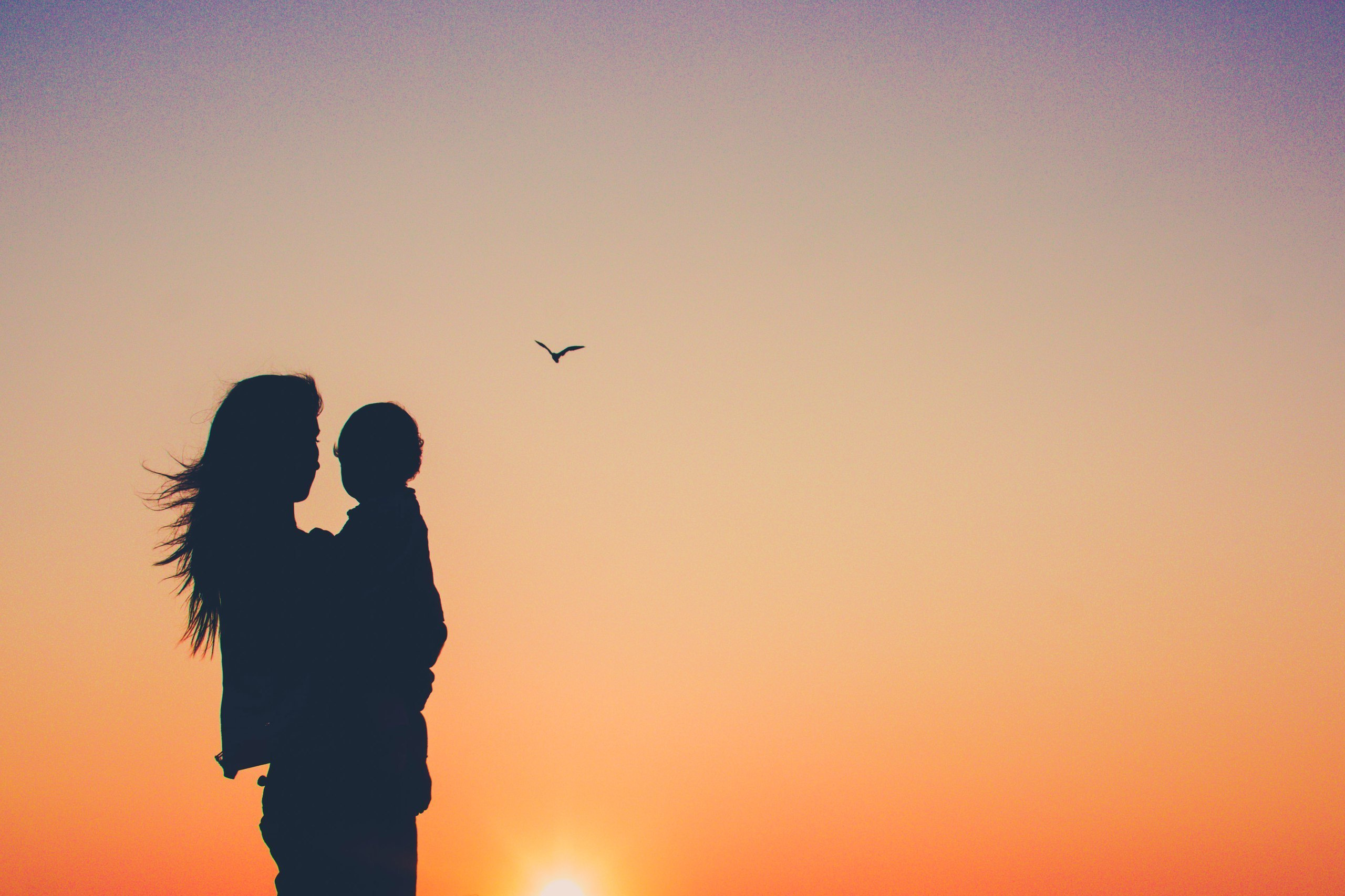 ПАЛЬМЫ+МОРЕ. Милана Довгаль - семейный фотограф и видеограф  в Адлере и Сочи