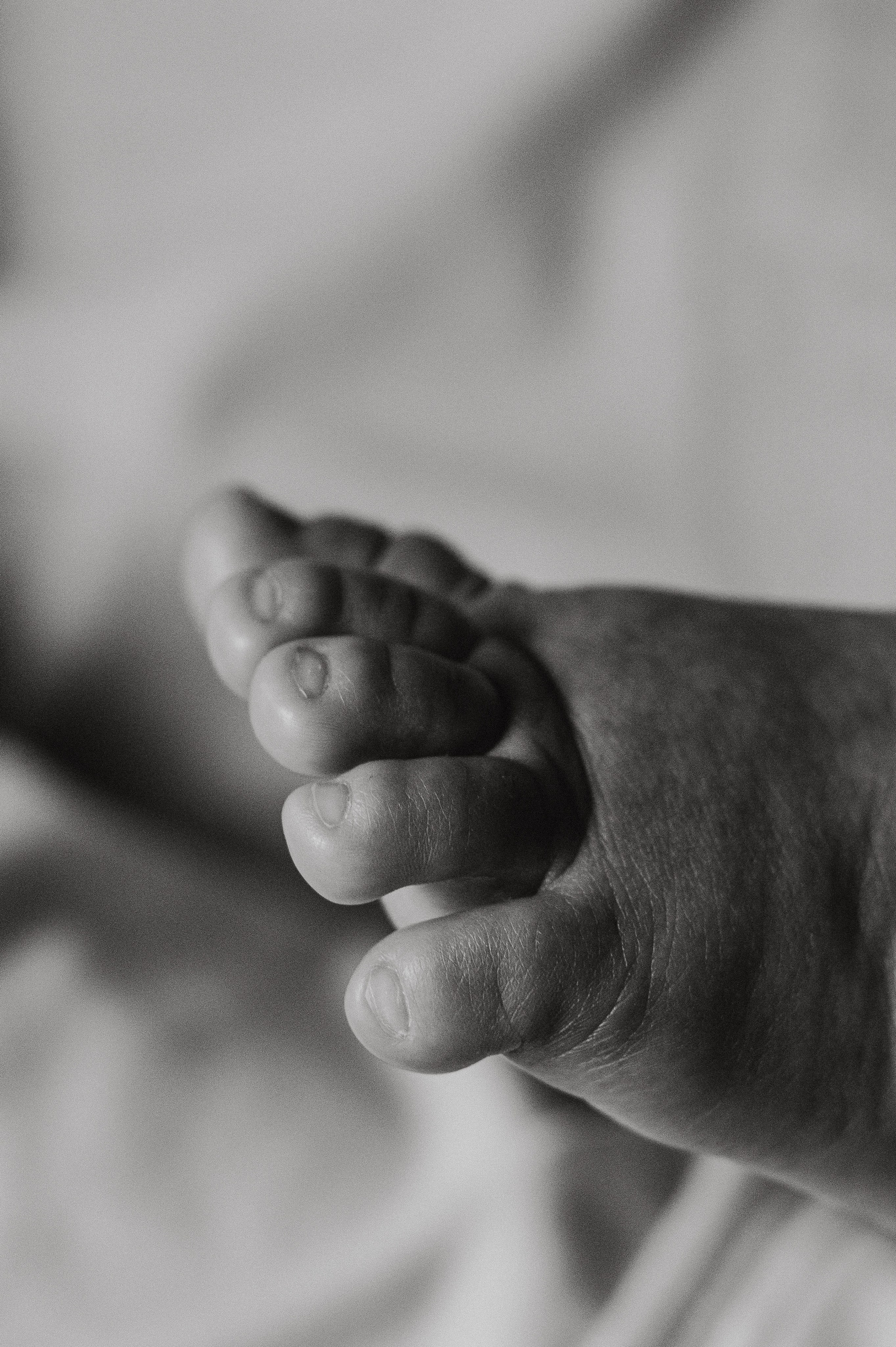 Иван, Ксения и Лев. Фотограф беременности и семьи, домашние съемки, Ньюборн