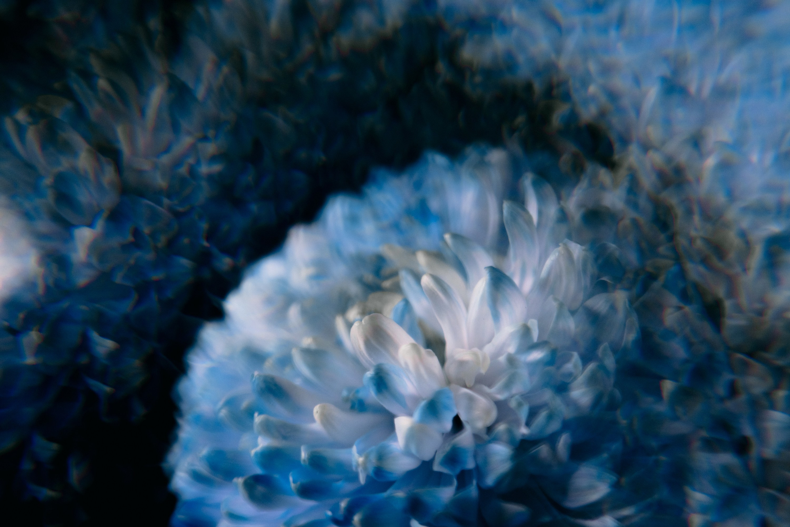 2. Истинная грусть. Репортажный и портретный фотограф во Владимире Сергей Кравцов