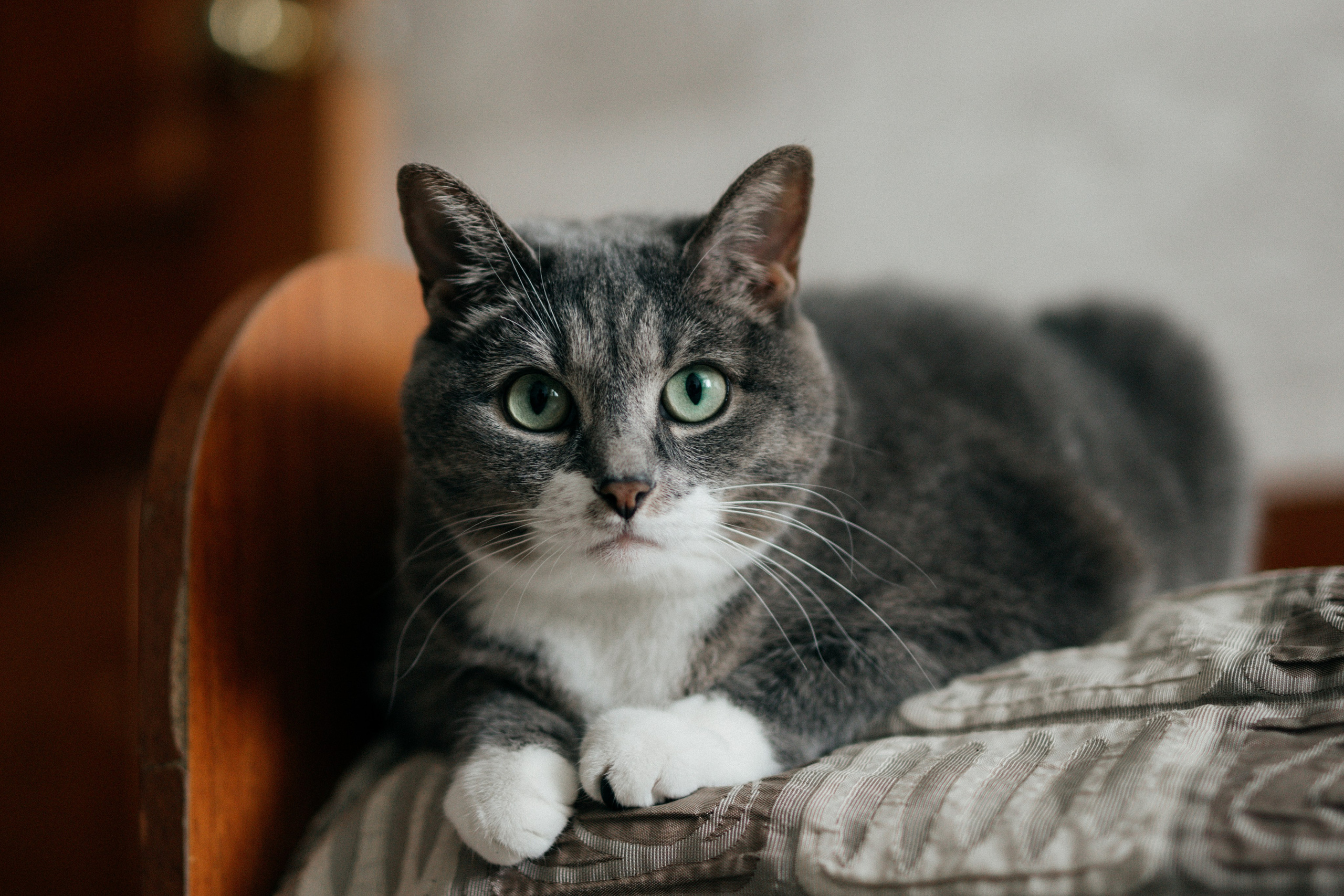 День Рождения Эмилии. Фотограф Улан-Удэ