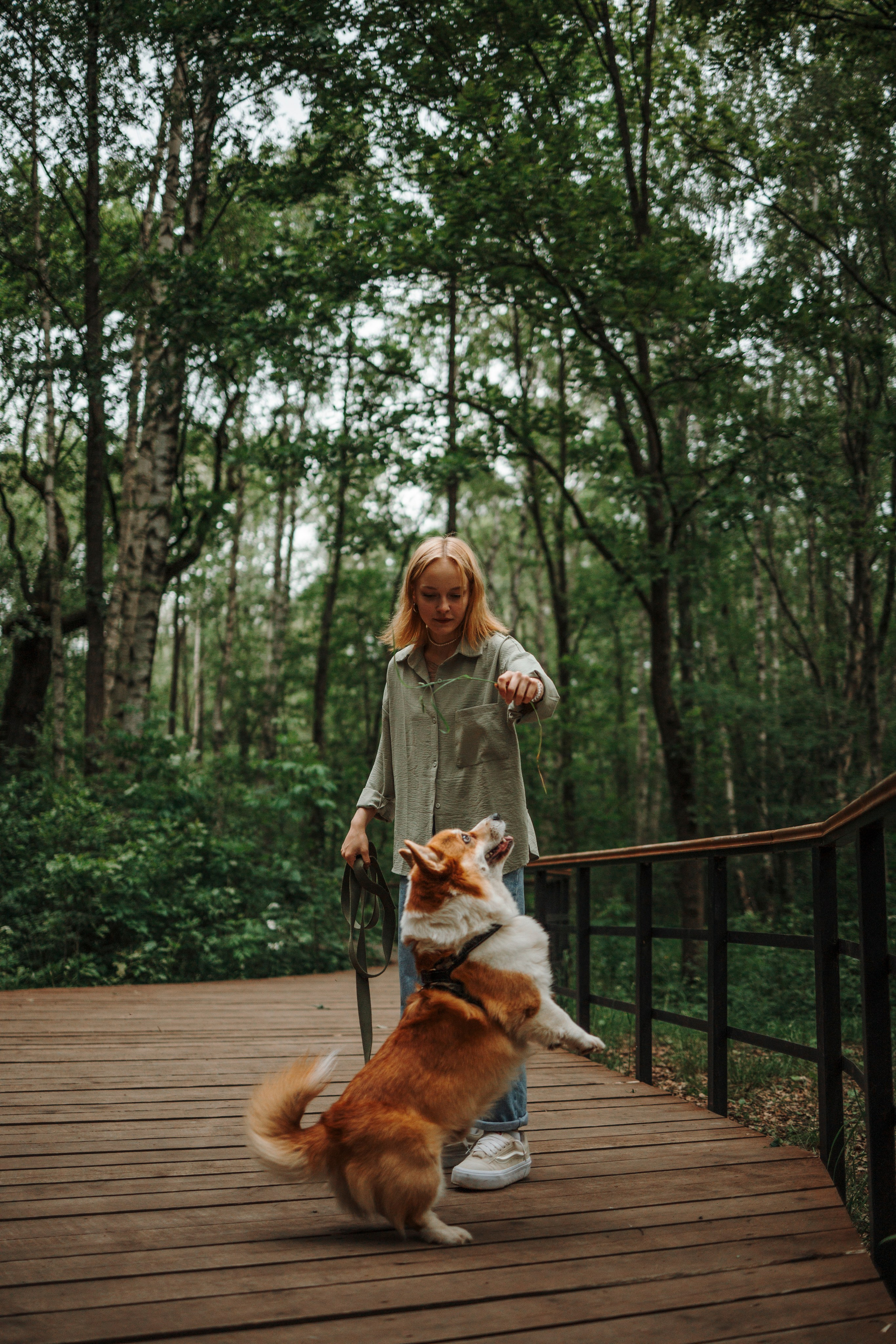 Даша и корги Рудик. Фотограф-анималист в Санкт-Петеребурге Титова Алиса