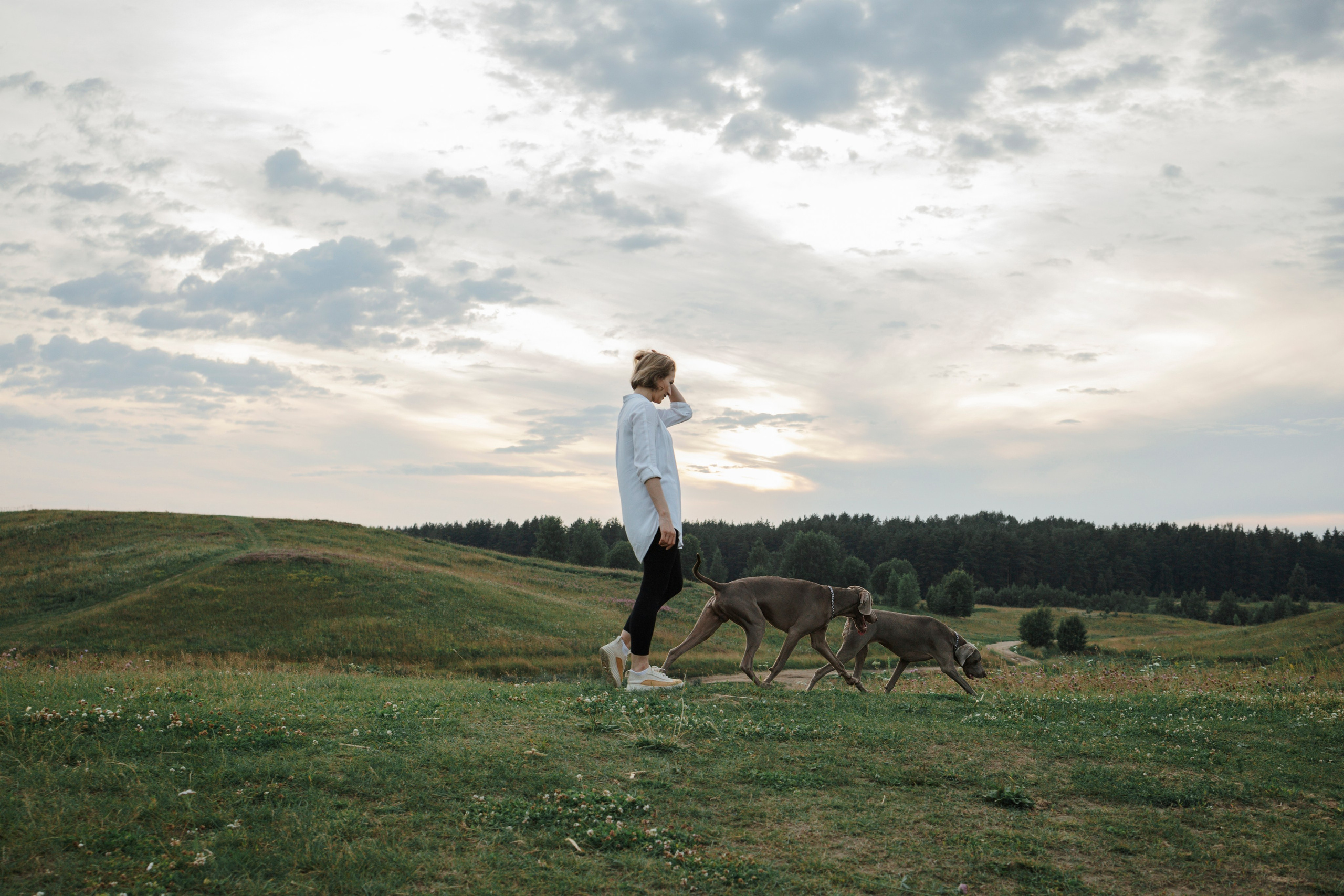 Маргарита и веймаранеры. Фотограф-анималист в Санкт-Петеребурге Титова Алиса