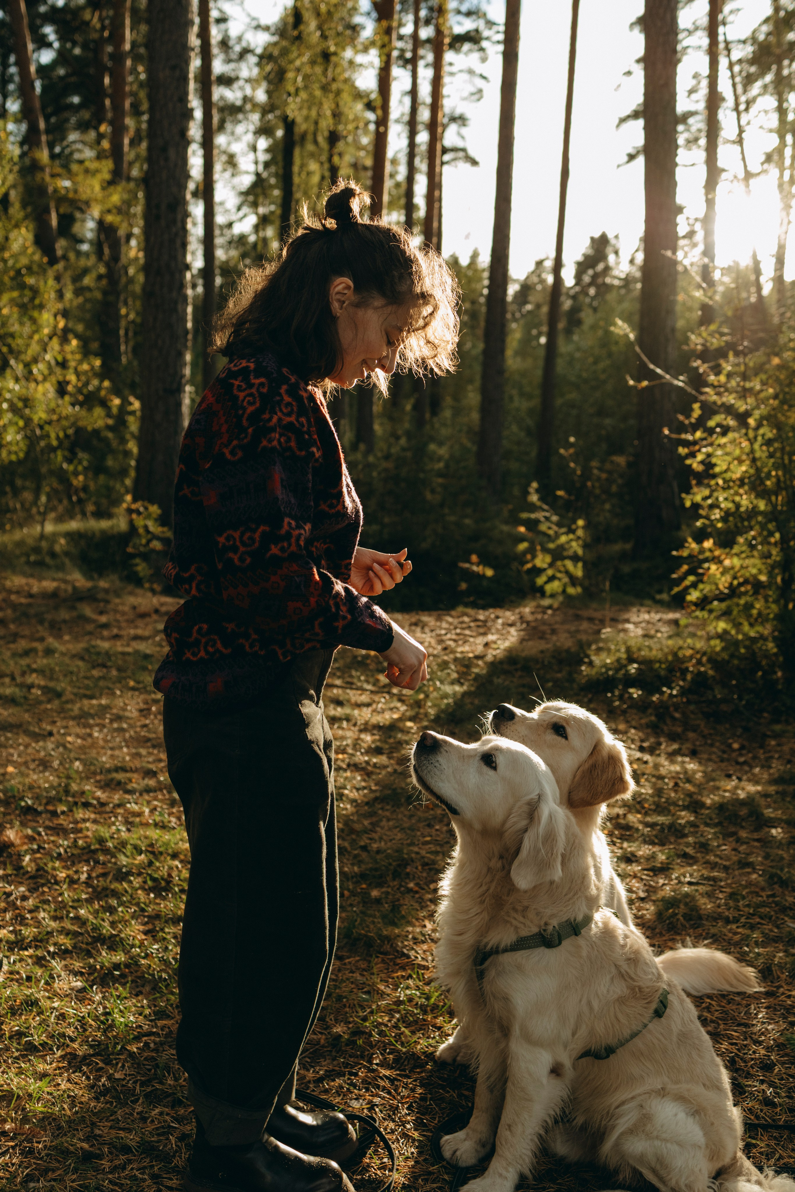 Прогулка Насти с Арчи и Арагоном. Фотограф-анималист в Санкт-Петеребурге Титова Алиса