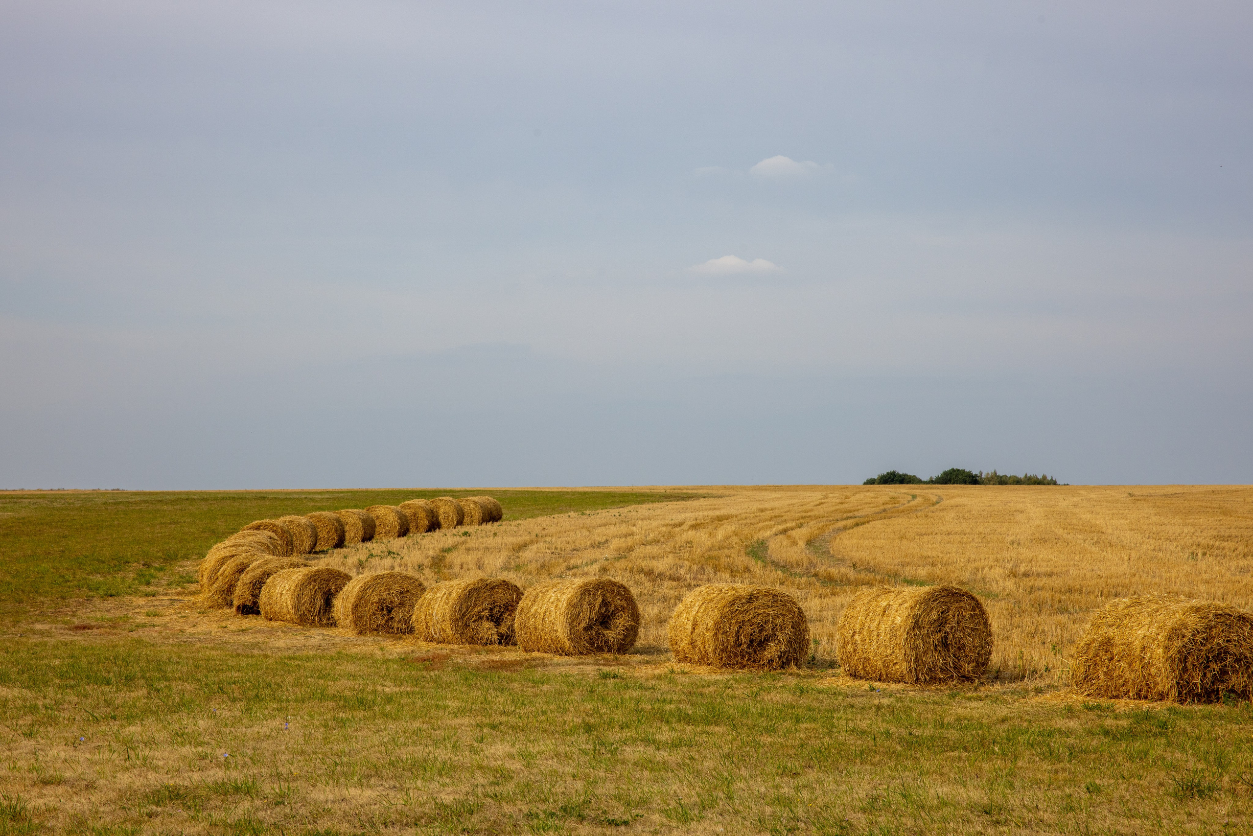 Поездка на поле Кулеково. Фотограф в Туле Крупский АнДРей. Фотостудия «КАДР71» в Туле