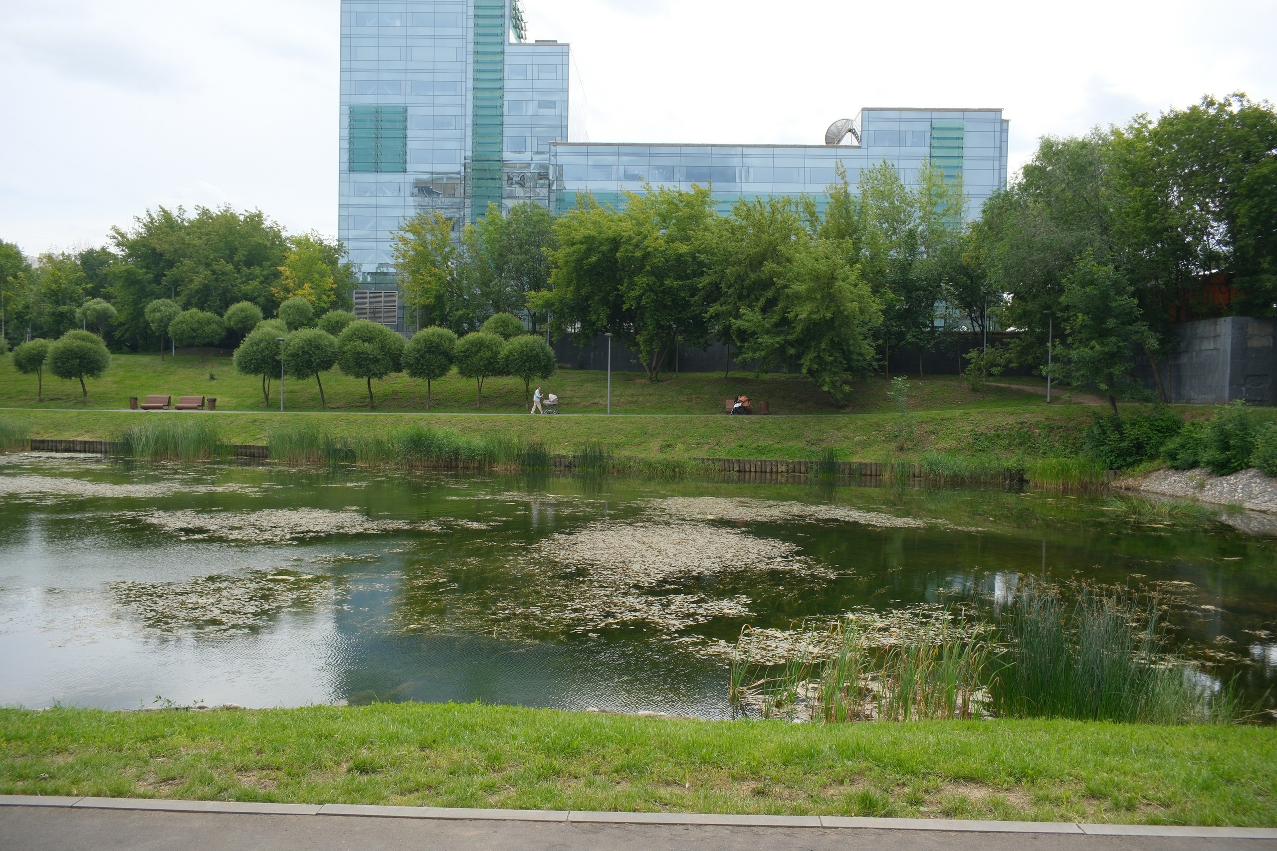 Прогулка на Каскадные пруды в Чертаново 06.07.2025. Улица, люди, жизнь…