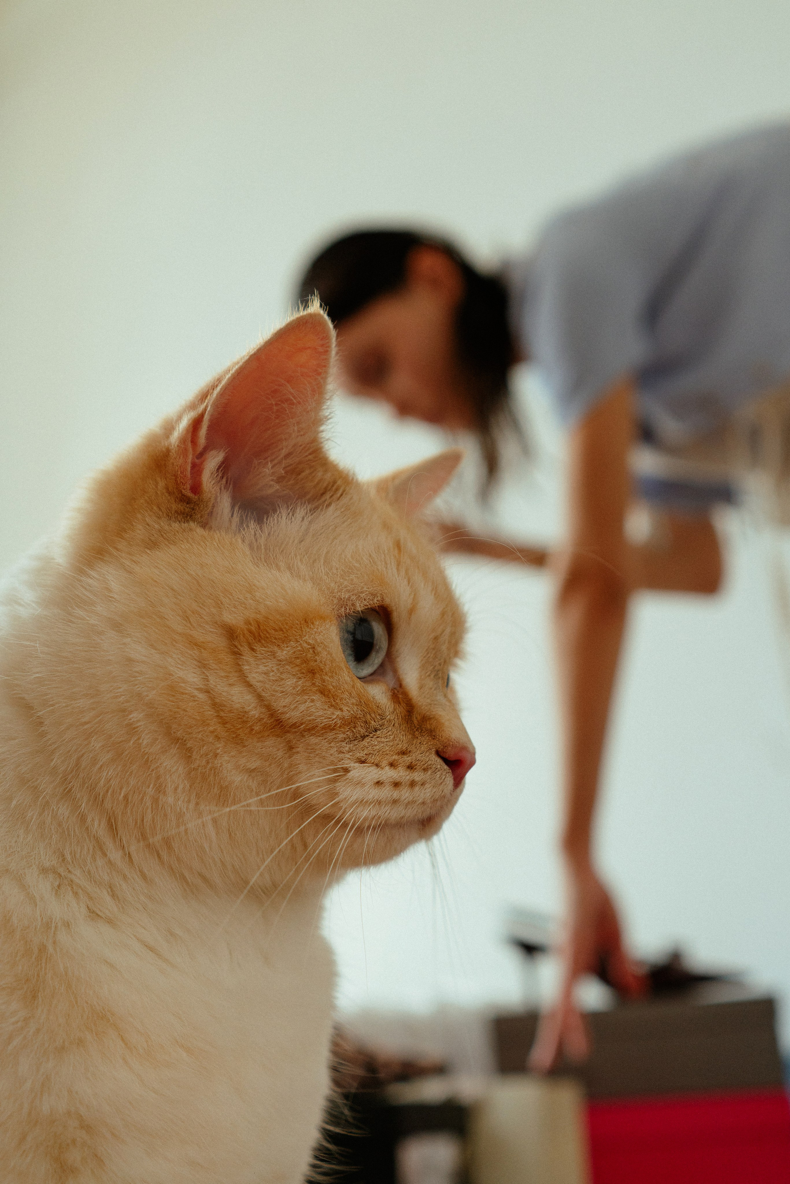 Проект «Я уже выхожу». Женский фотограф в Москве Анастасия Сидорова