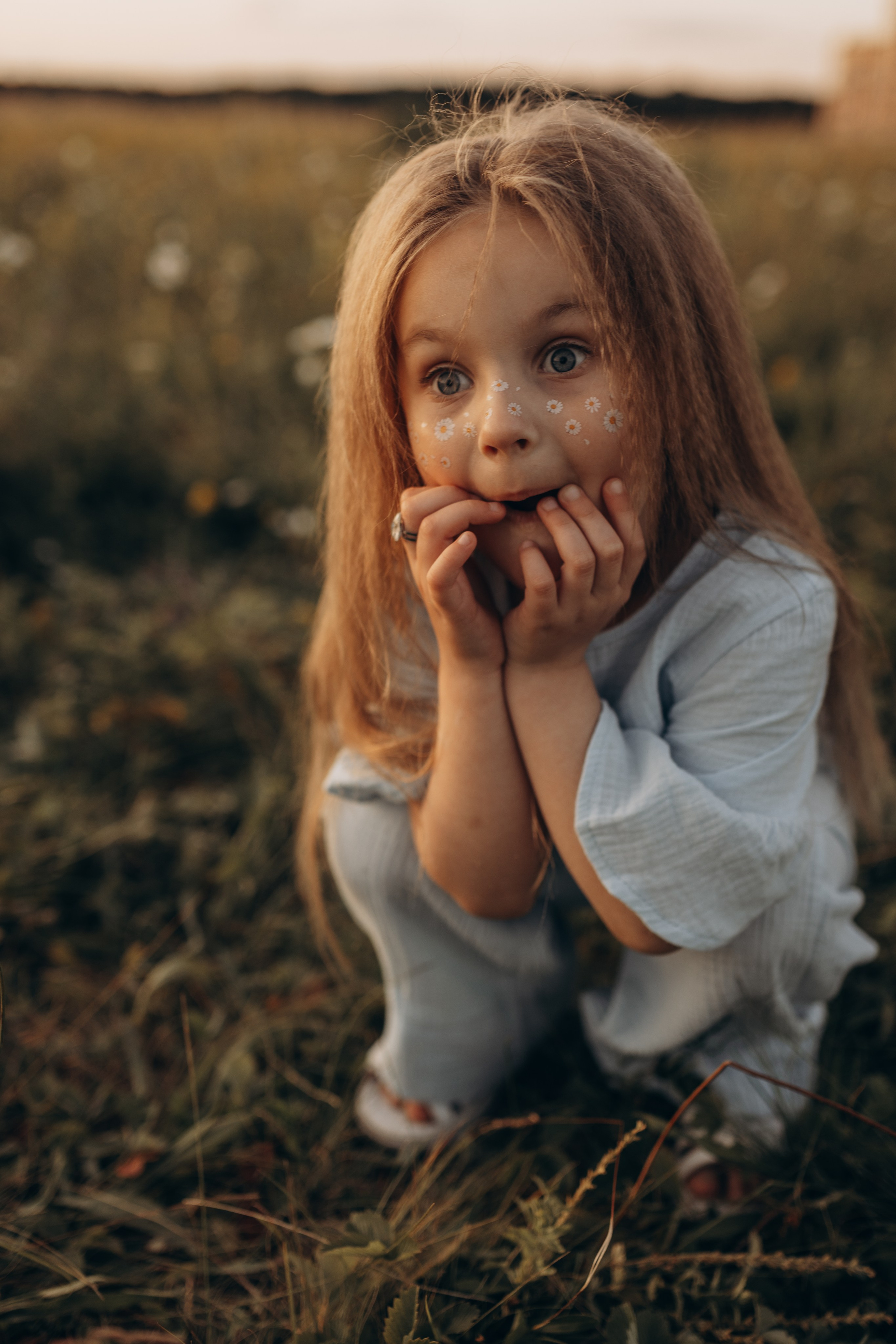 Закат на ромашковом поле. Фотограф в Ставрополе Svetlana Matveeva