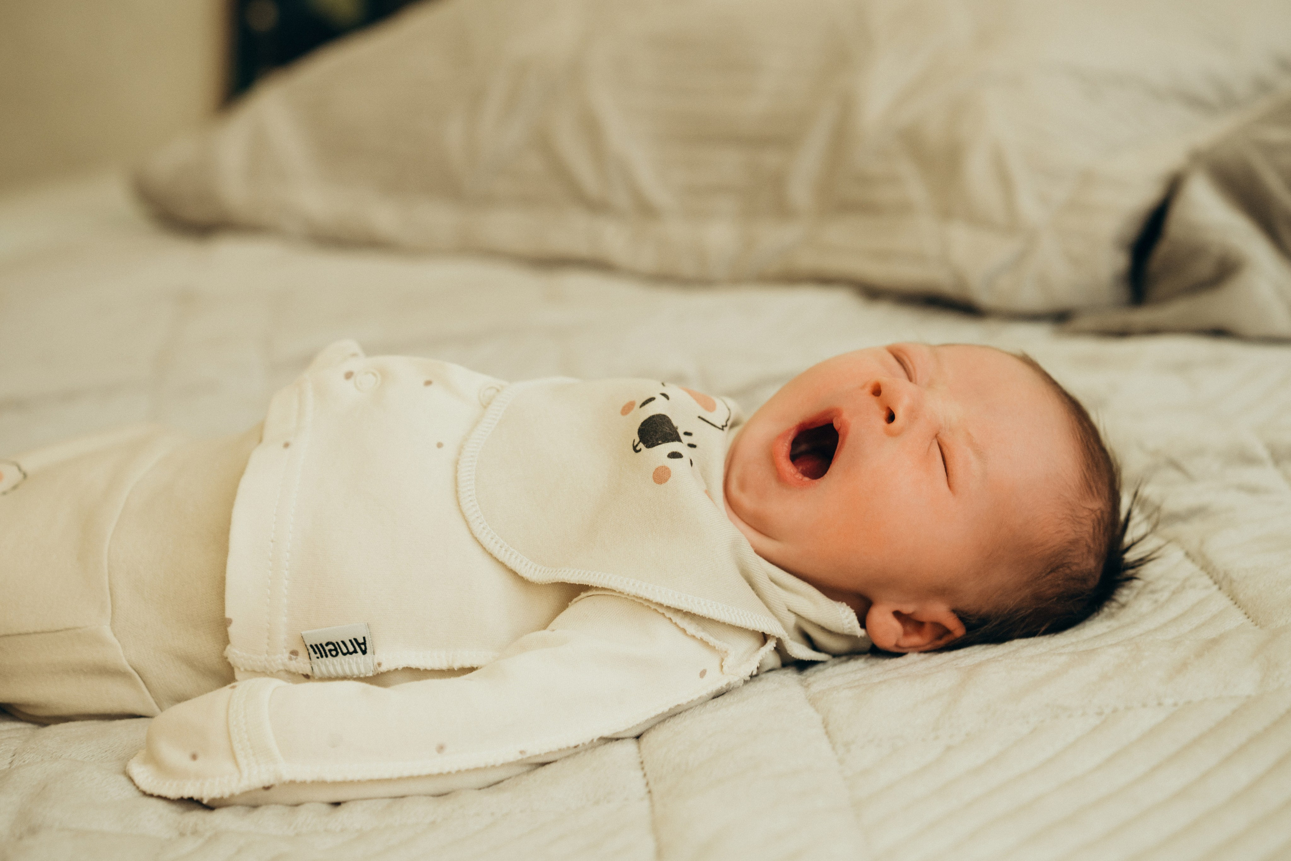 Александр, Мария и Павлуша