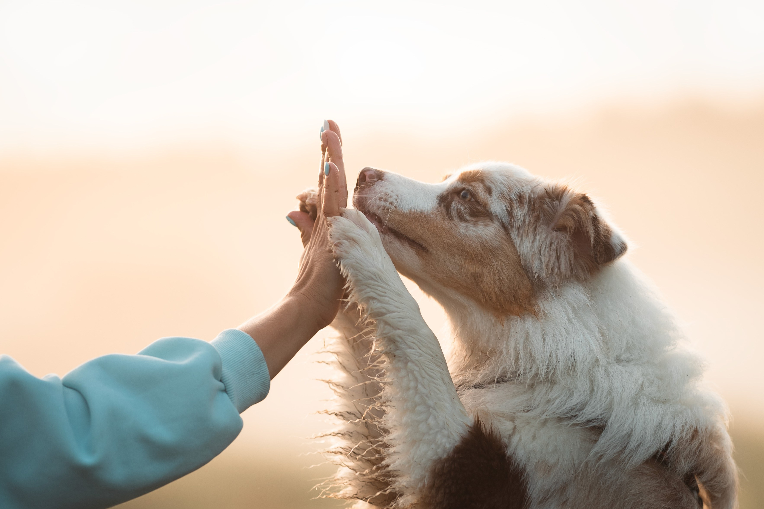 Яна и Панда. Фотограф анималист
