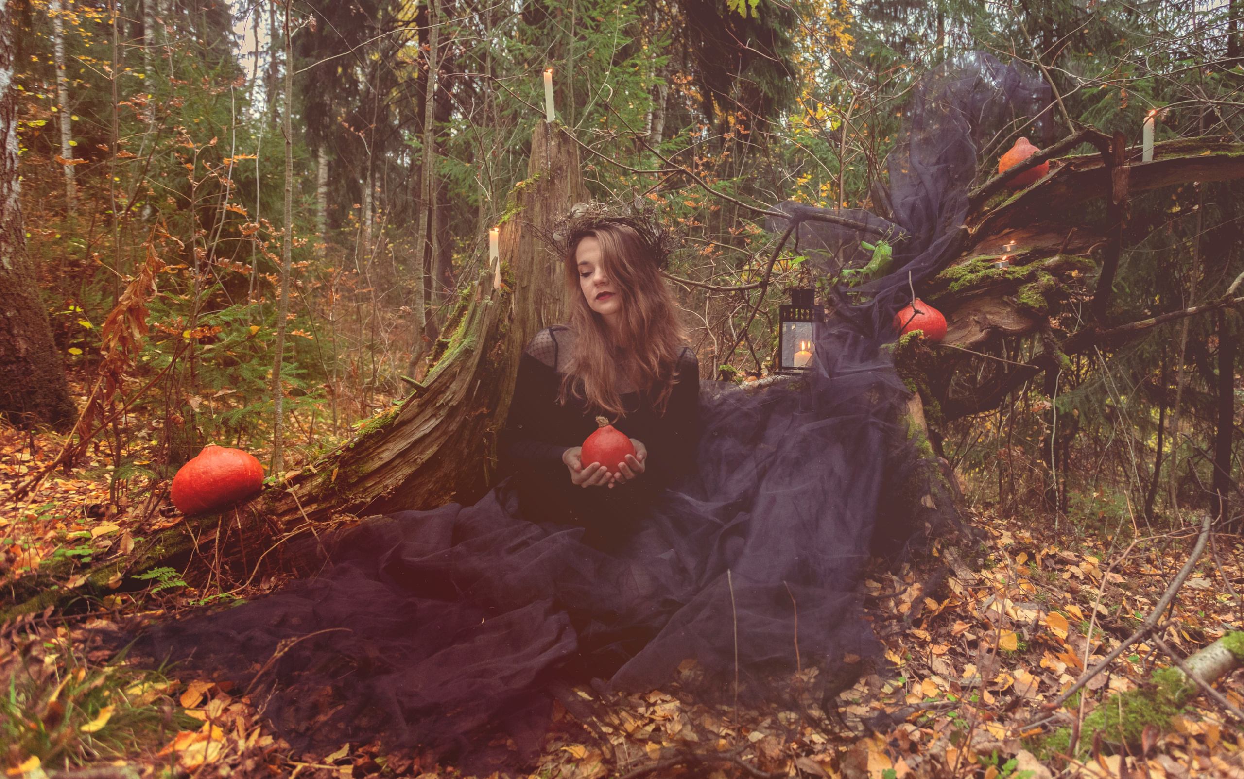 Хэллоуин. Предметный и репортажный фотограф в Санкт-Петербурге Александр Е