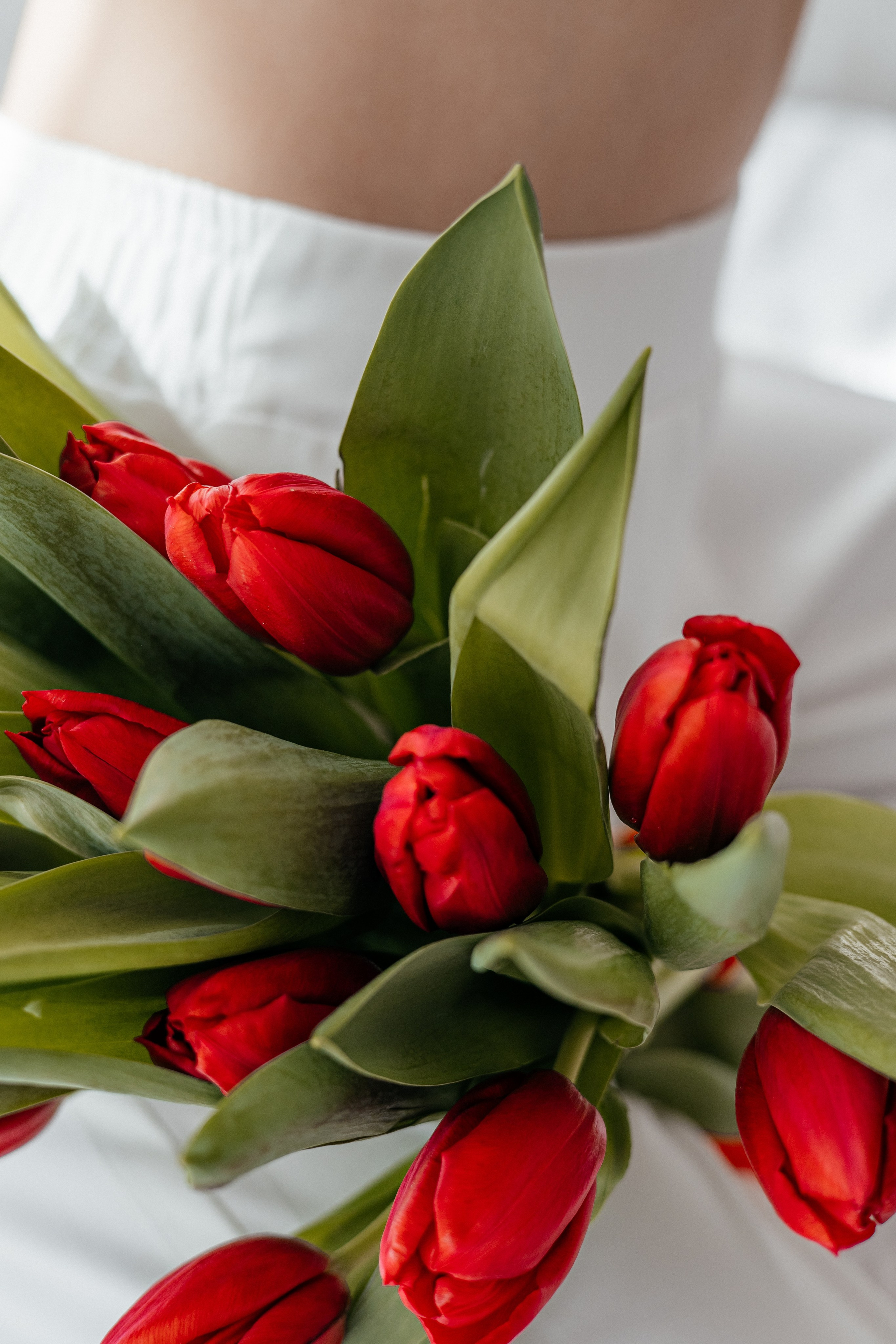 Анна. Красные тюльпаны