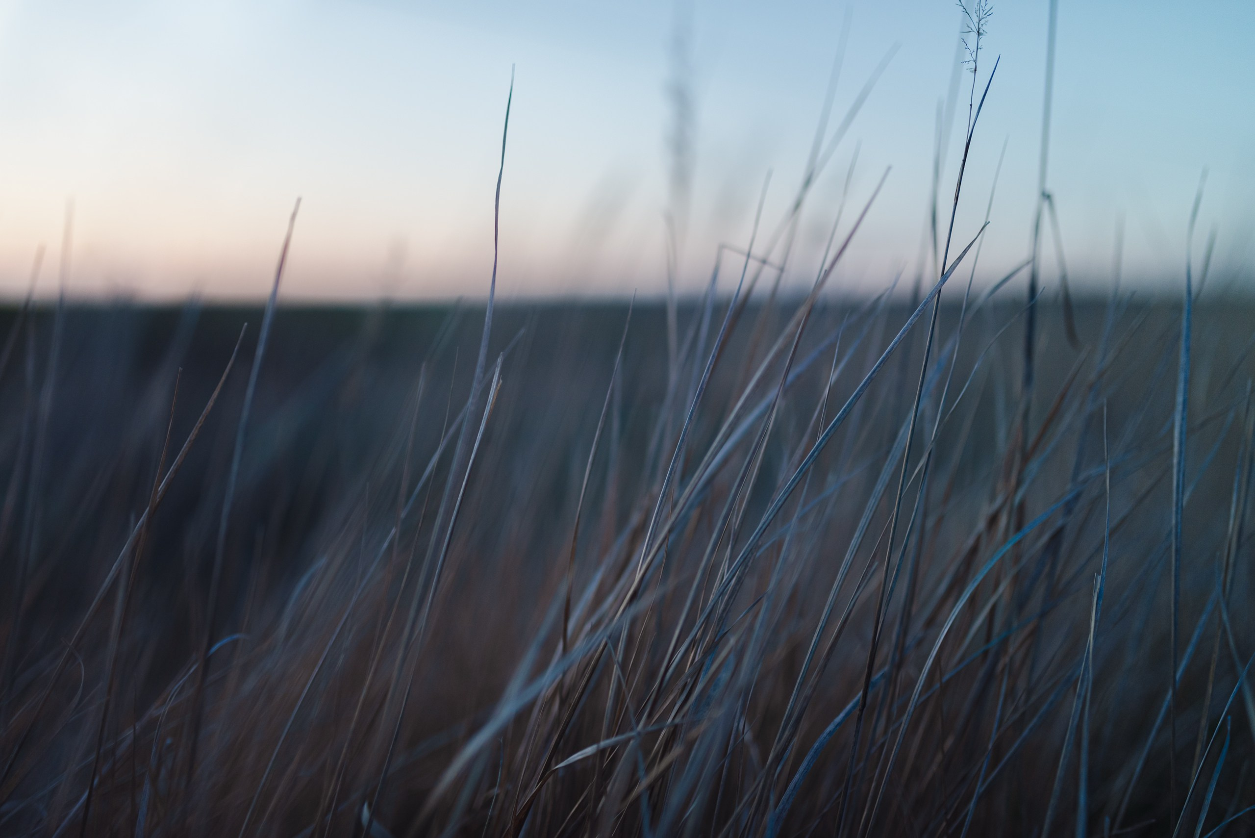 Невидимый спектр. Komonev