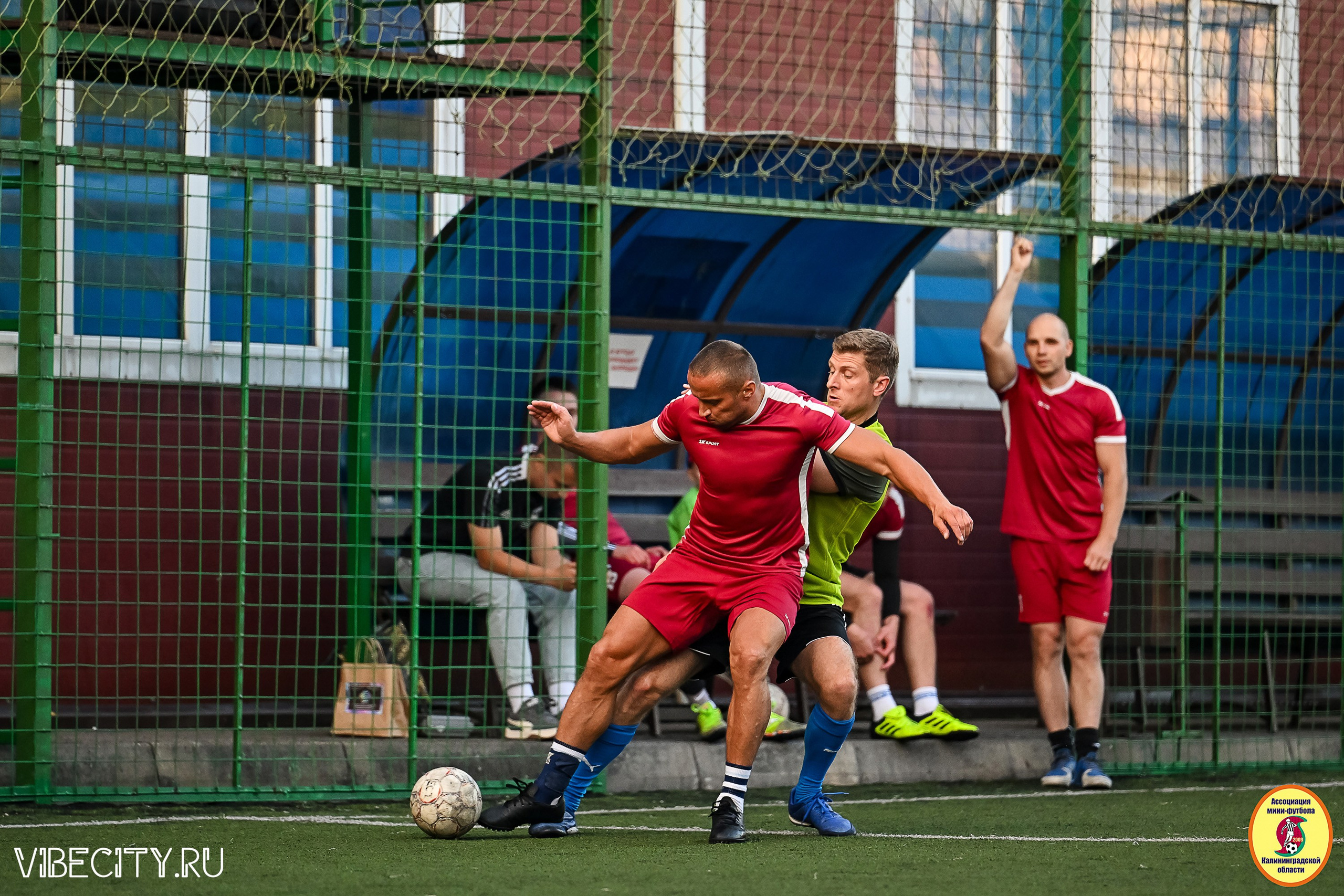 ПЛЕЙ-ОФФ КОРПОРАТИВНОЙ МФЛ И КУБКА МФЛ. VIBECITY.RU Вайб Сити Ру Фоторепортажи Фотоотчеты Калининград