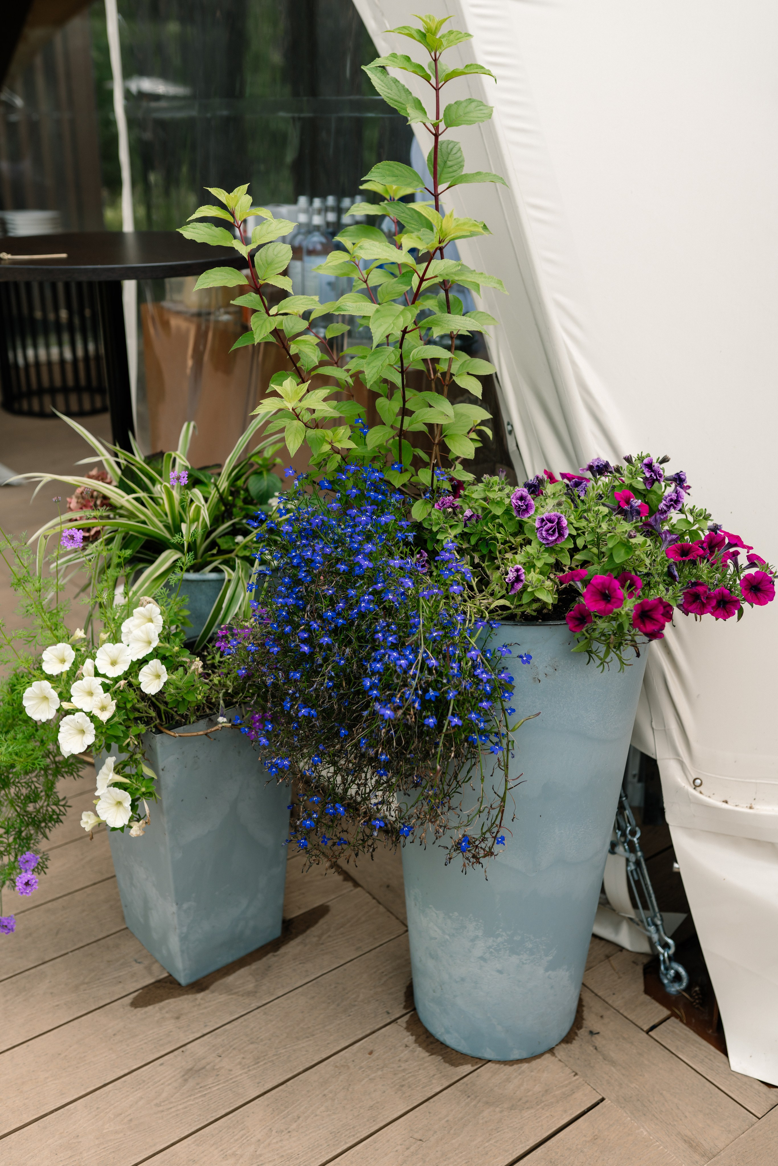 Мария и Илья. Семейный фотограф Одинцово Москва Наталия Черенкова