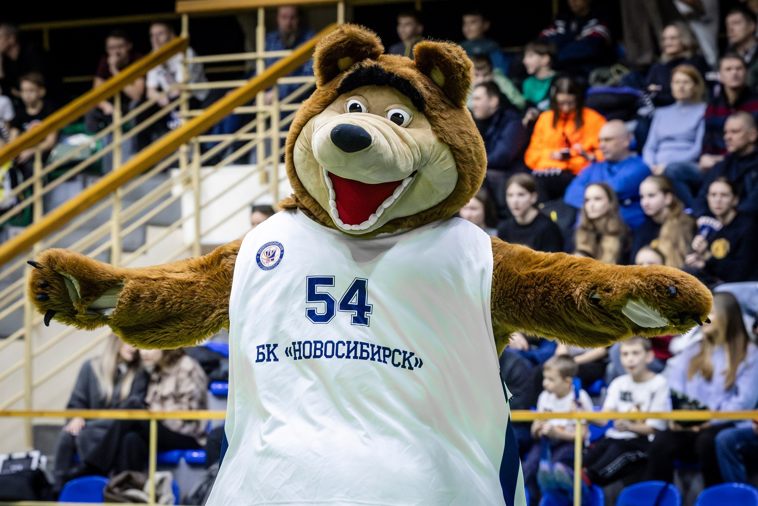 БК Новосибирск. Bertran Ordo