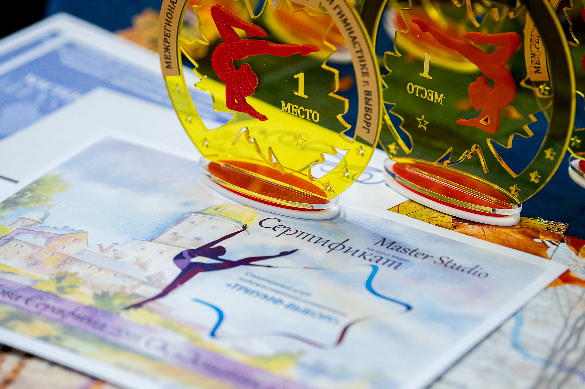 Межрегиональный фестиваль по художественной гимнастике «Выборгская Осе. Спортивный и репортажный фотограф в Санкт-Петербурге Алексей Ковалев