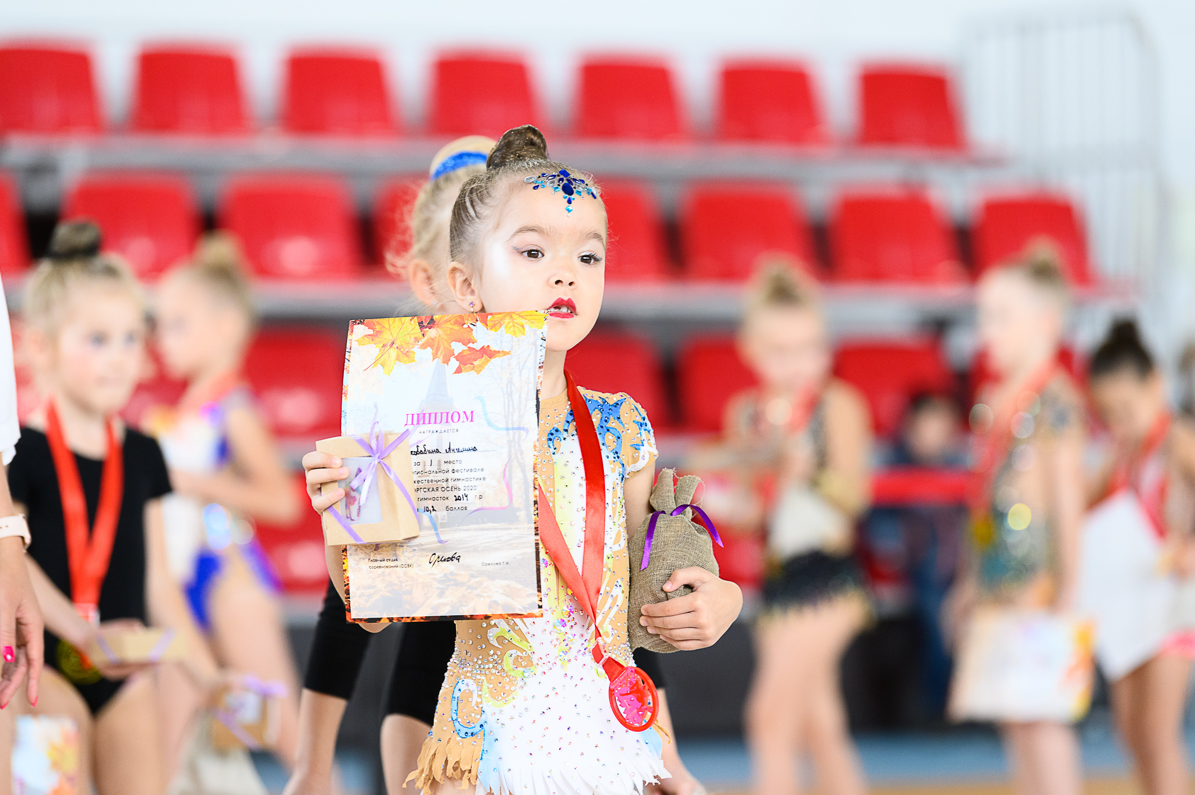 Межрегиональный фестиваль по художественной гимнастике «Выборгская Осе. Спортивный и репортажный фотограф в Санкт-Петербурге Алексей Ковалев