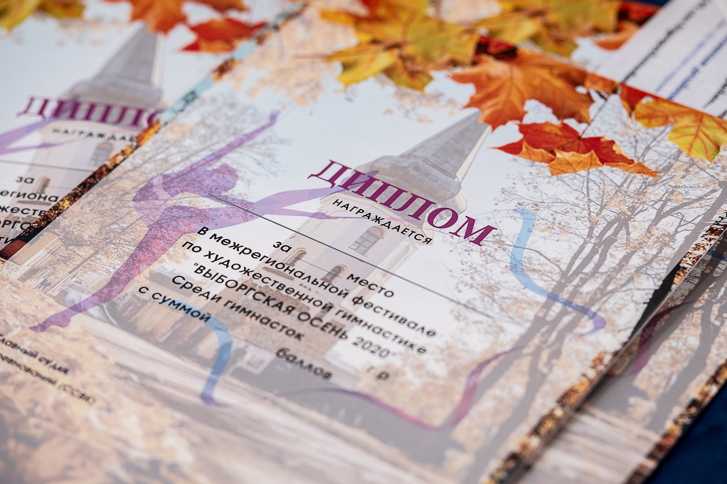 Межрегиональный фестиваль по художественной гимнастике «Выборгская Осе. Спортивный и репортажный фотограф в Санкт-Петербурге Алексей Ковалев