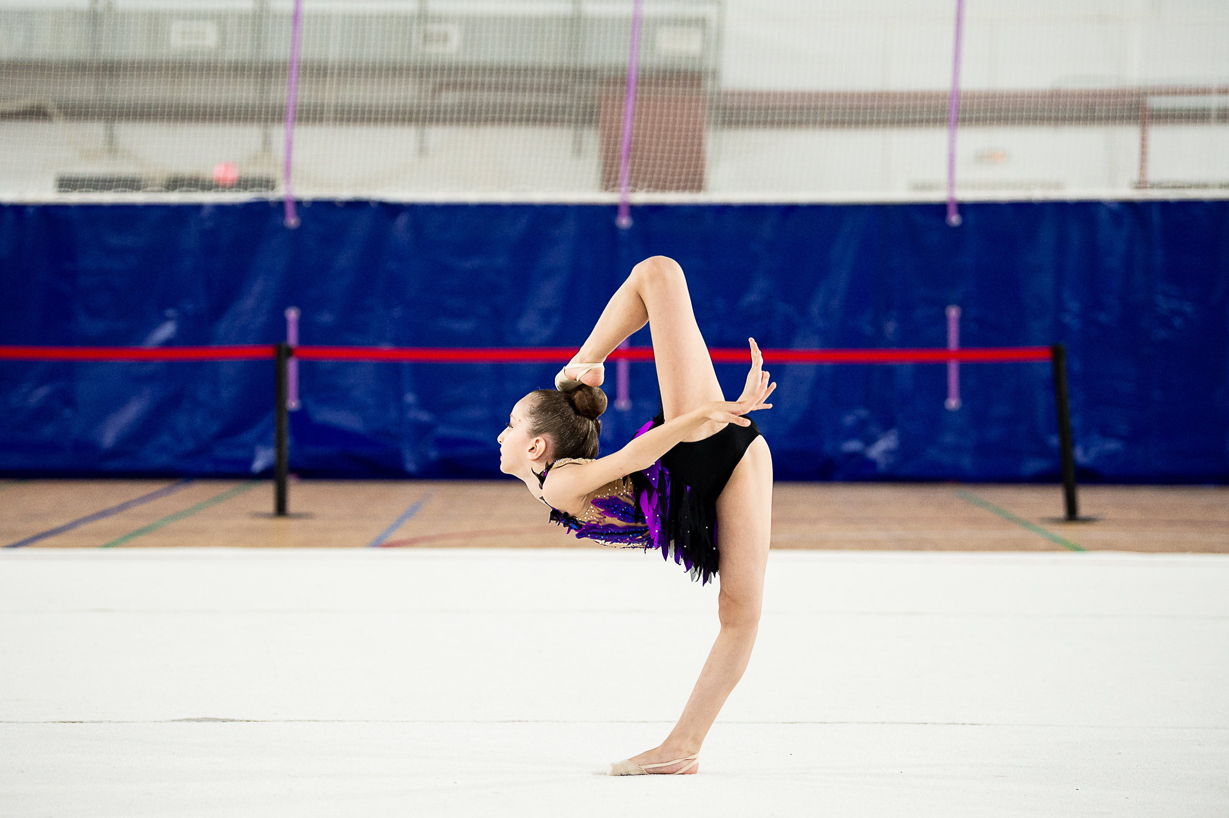 Межрегиональный фестиваль по художественной гимнастике «Выборгская Осе. Спортивный и репортажный фотограф в Санкт-Петербурге Алексей Ковалев