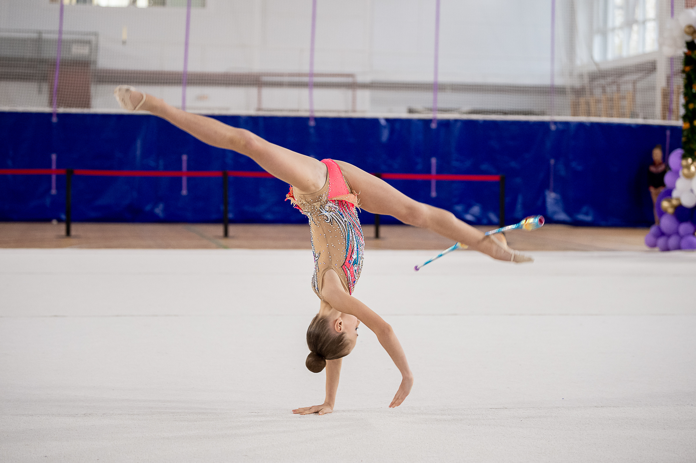 Межрегиональный фестиваль по художественной гимнастике «Выборгская Осе. Спортивный и репортажный фотограф в Санкт-Петербурге Алексей Ковалев