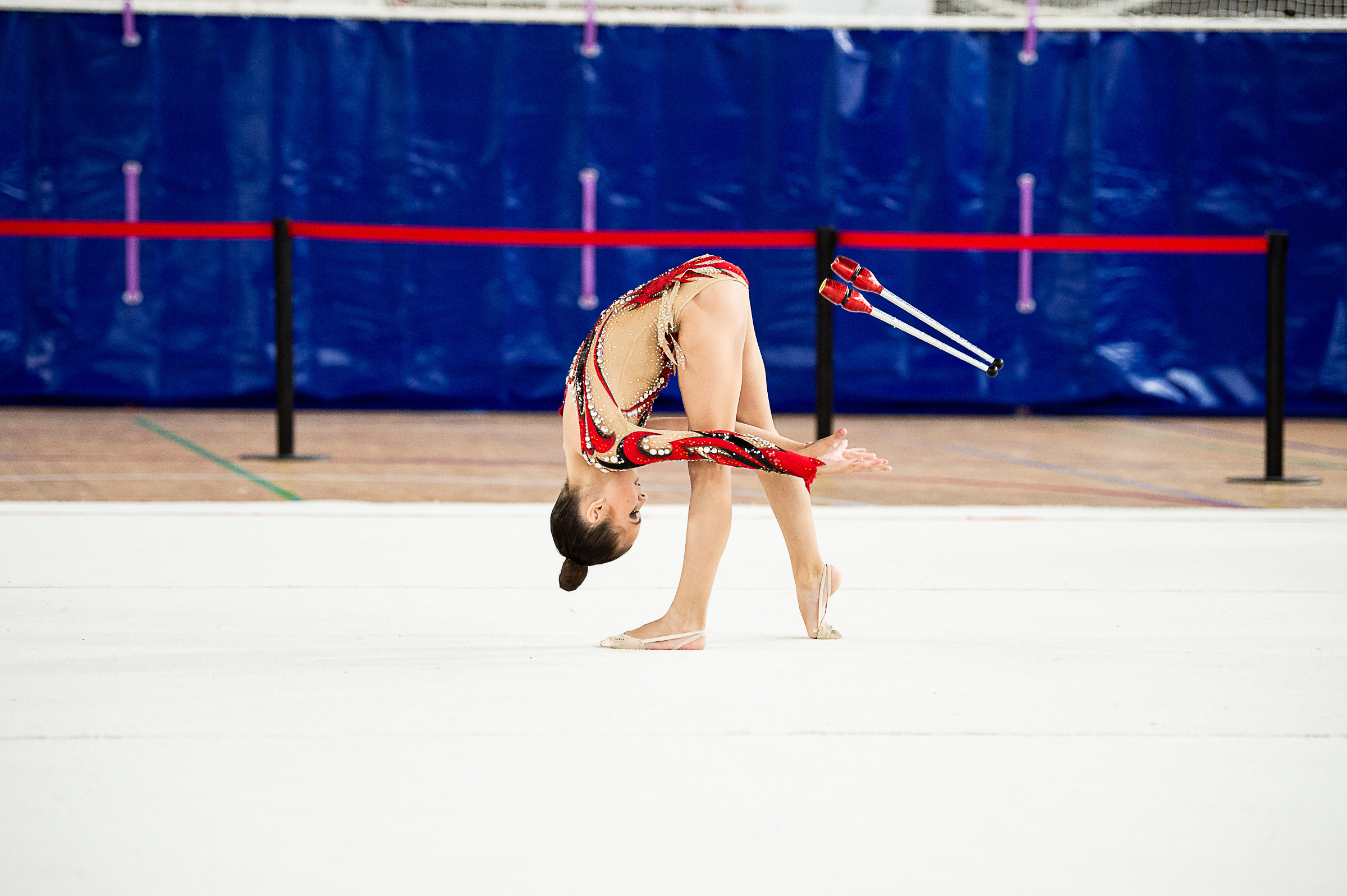 Межрегиональный фестиваль по художественной гимнастике «Выборгская Осе. Спортивный и репортажный фотограф в Санкт-Петербурге Алексей Ковалев