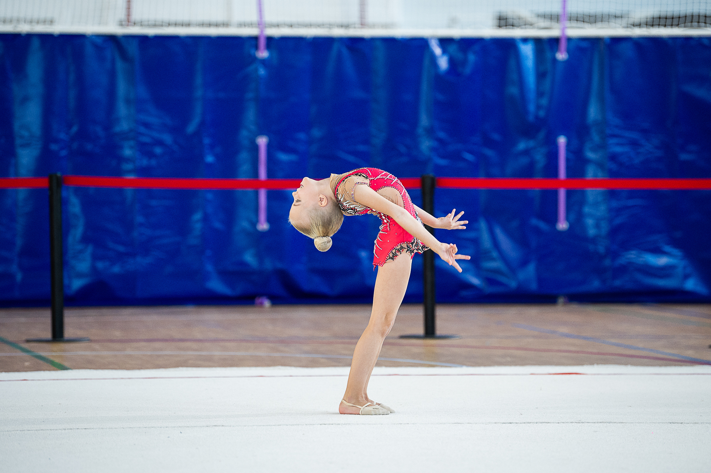 Межрегиональный фестиваль по художественной гимнастике «Выборгская Осе. Спортивный и репортажный фотограф в Санкт-Петербурге Алексей Ковалев