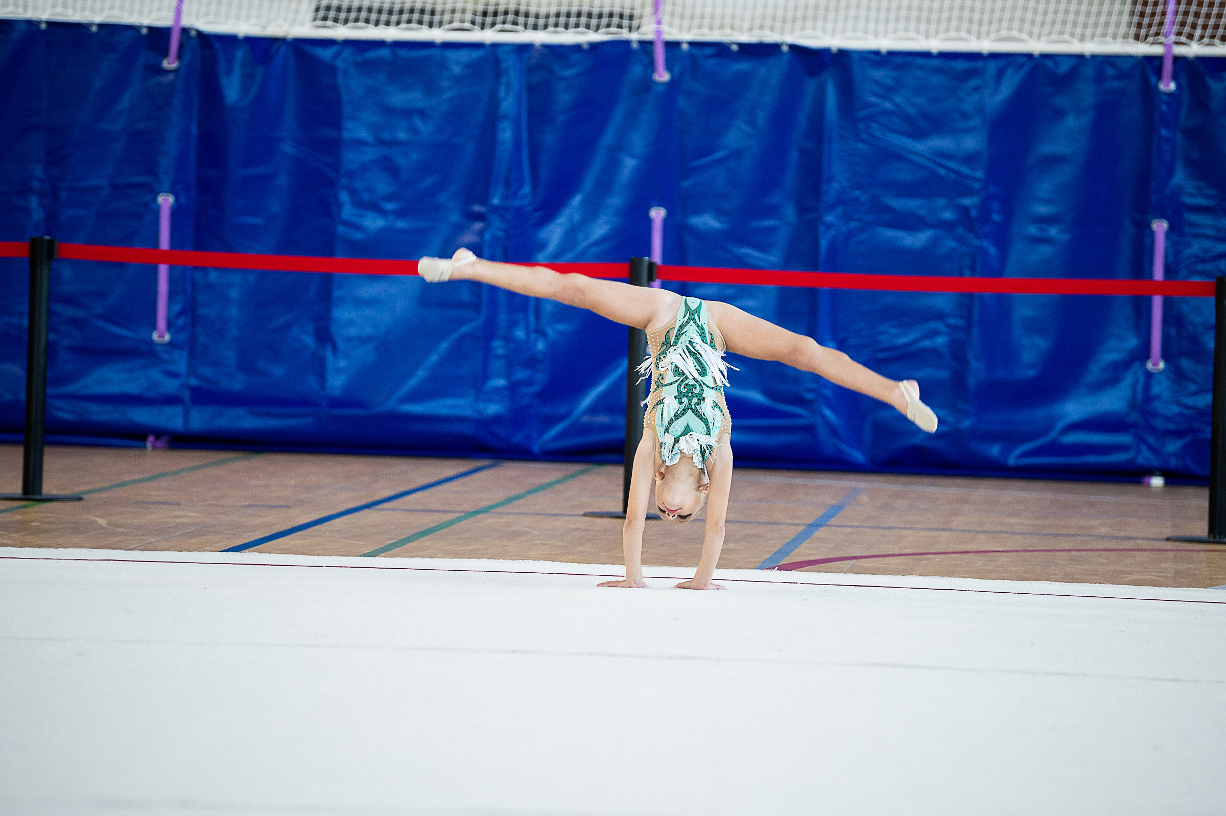 Межрегиональный фестиваль по художественной гимнастике «Выборгская Осе. Спортивный и репортажный фотограф в Санкт-Петербурге Алексей Ковалев