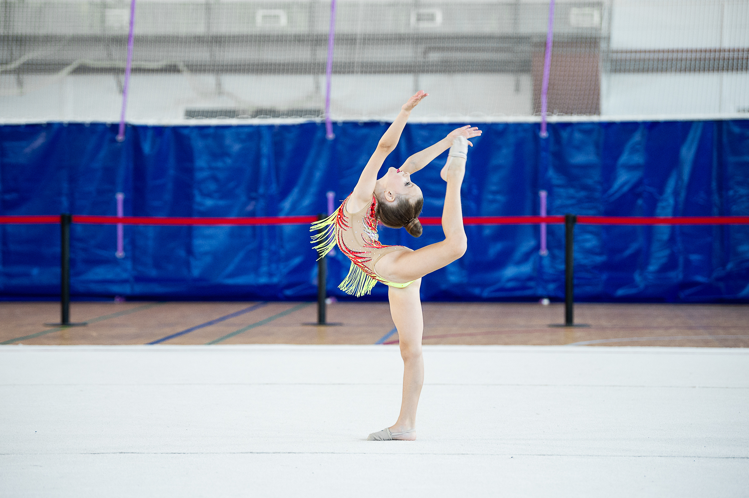 Межрегиональный фестиваль по художественной гимнастике «Выборгская Осе. Спортивный и репортажный фотограф в Санкт-Петербурге Алексей Ковалев