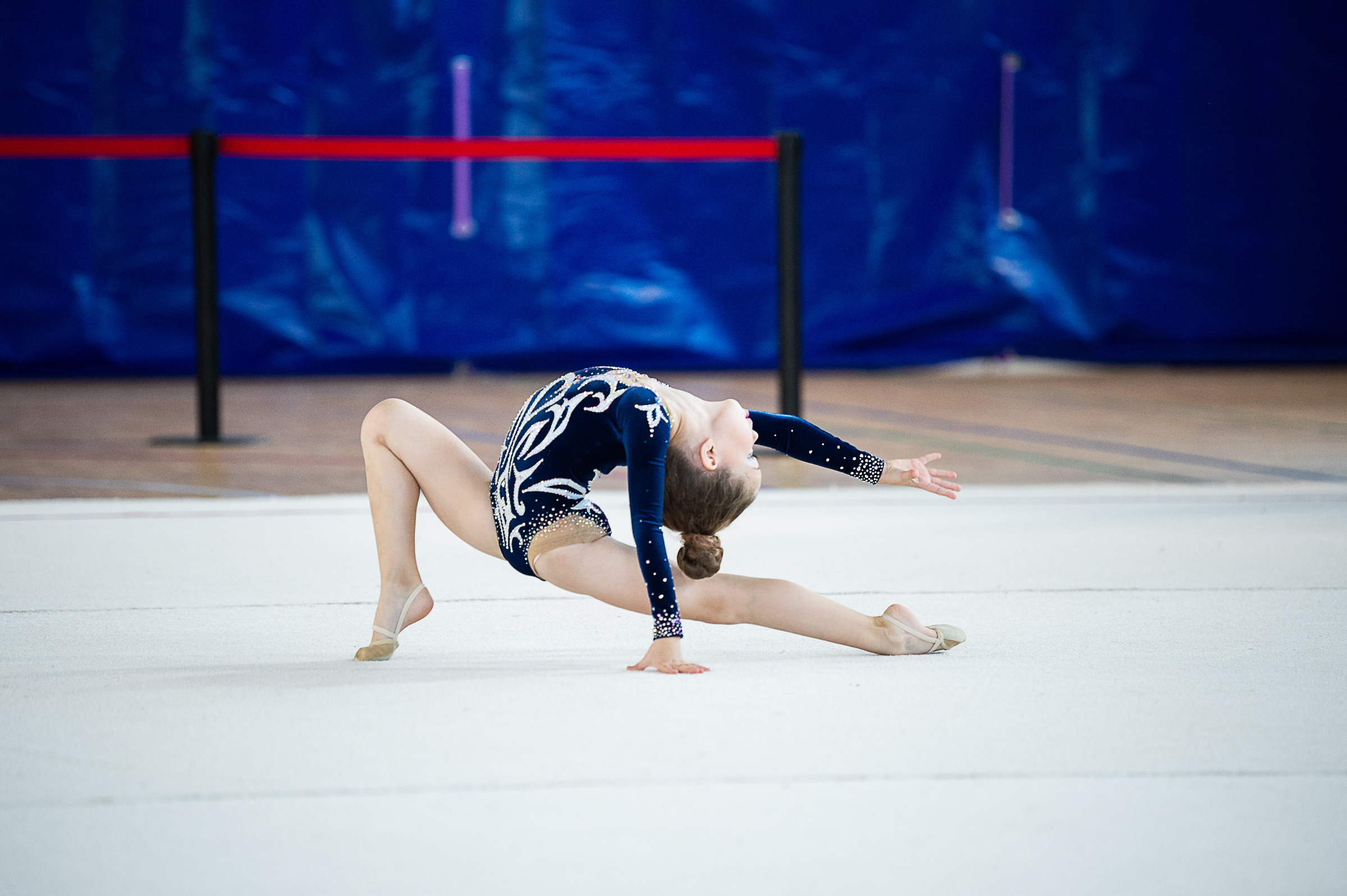 Межрегиональный фестиваль по художественной гимнастике «Выборгская Осе. Спортивный и репортажный фотограф в Санкт-Петербурге Алексей Ковалев