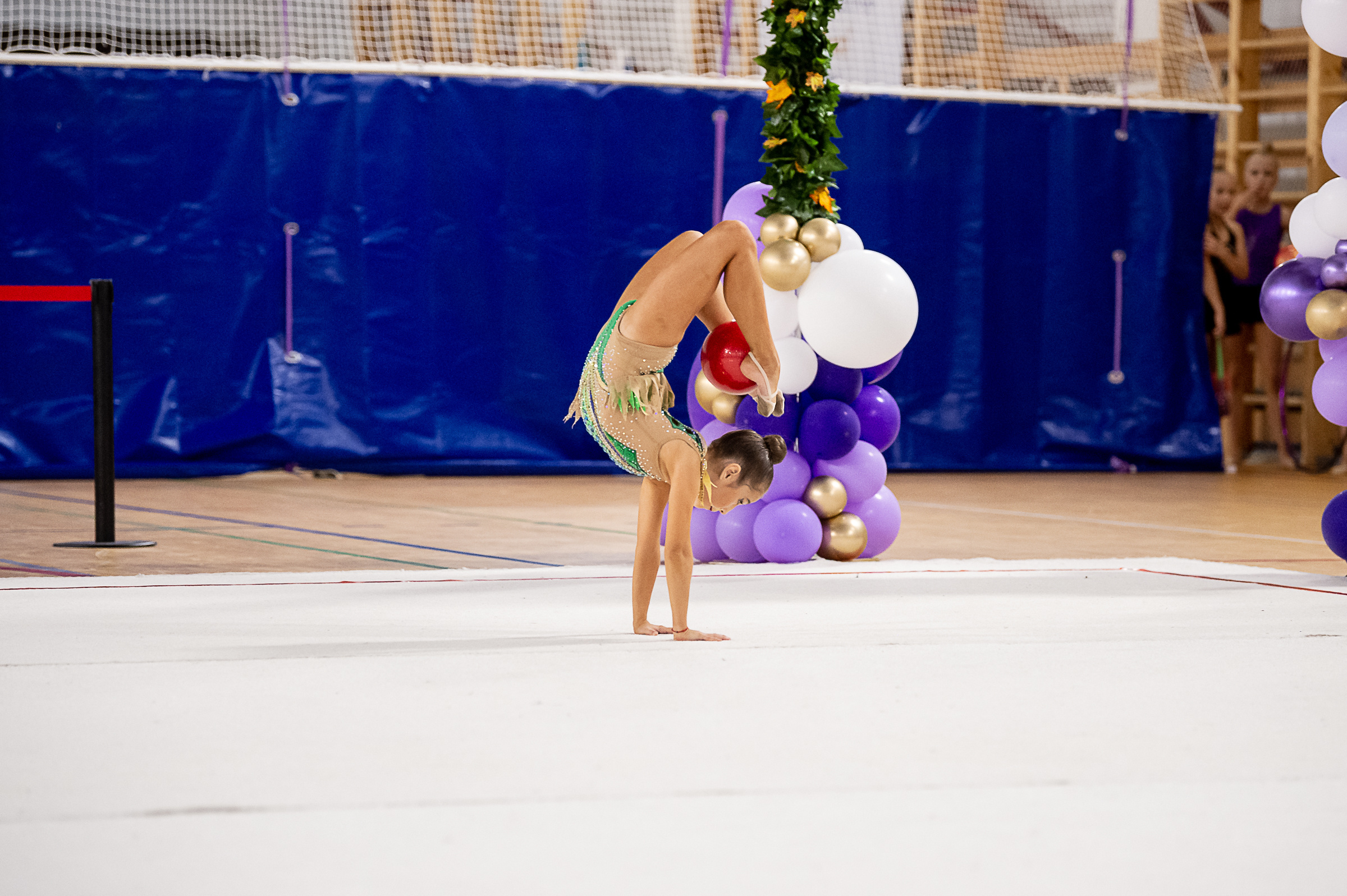 Межрегиональный фестиваль по художественной гимнастике «Выборгская Осе. Спортивный и репортажный фотограф в Санкт-Петербурге Алексей Ковалев
